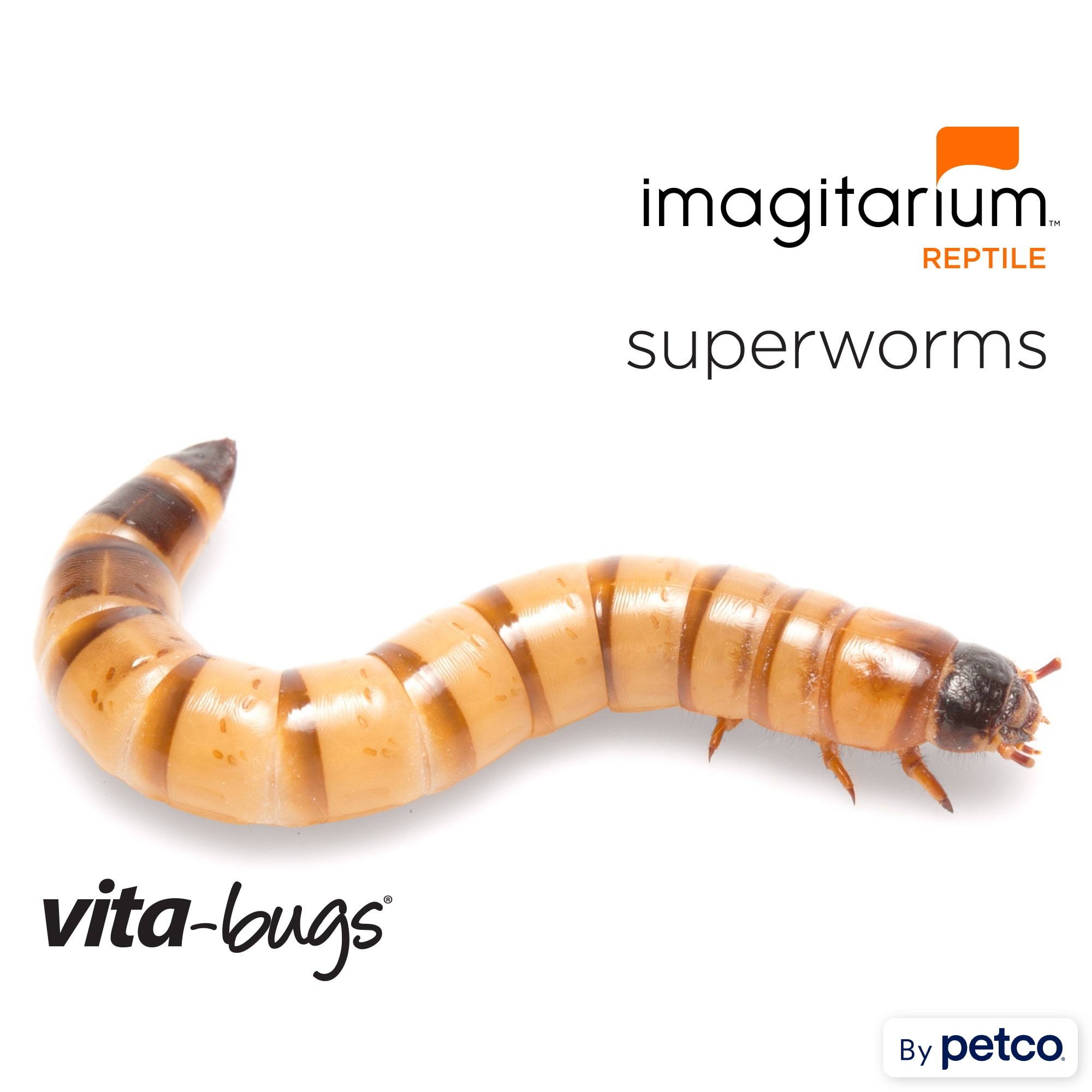 Vita-Bugs Waxworms - 500 Count, Petco