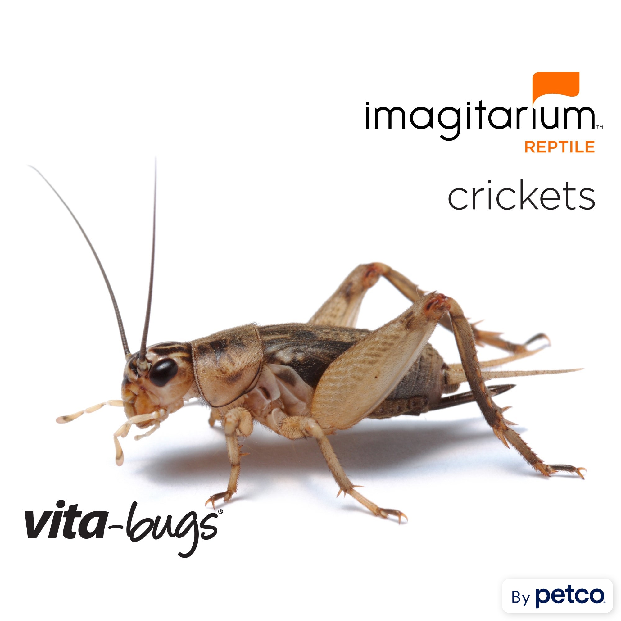 Petco 2025 live food