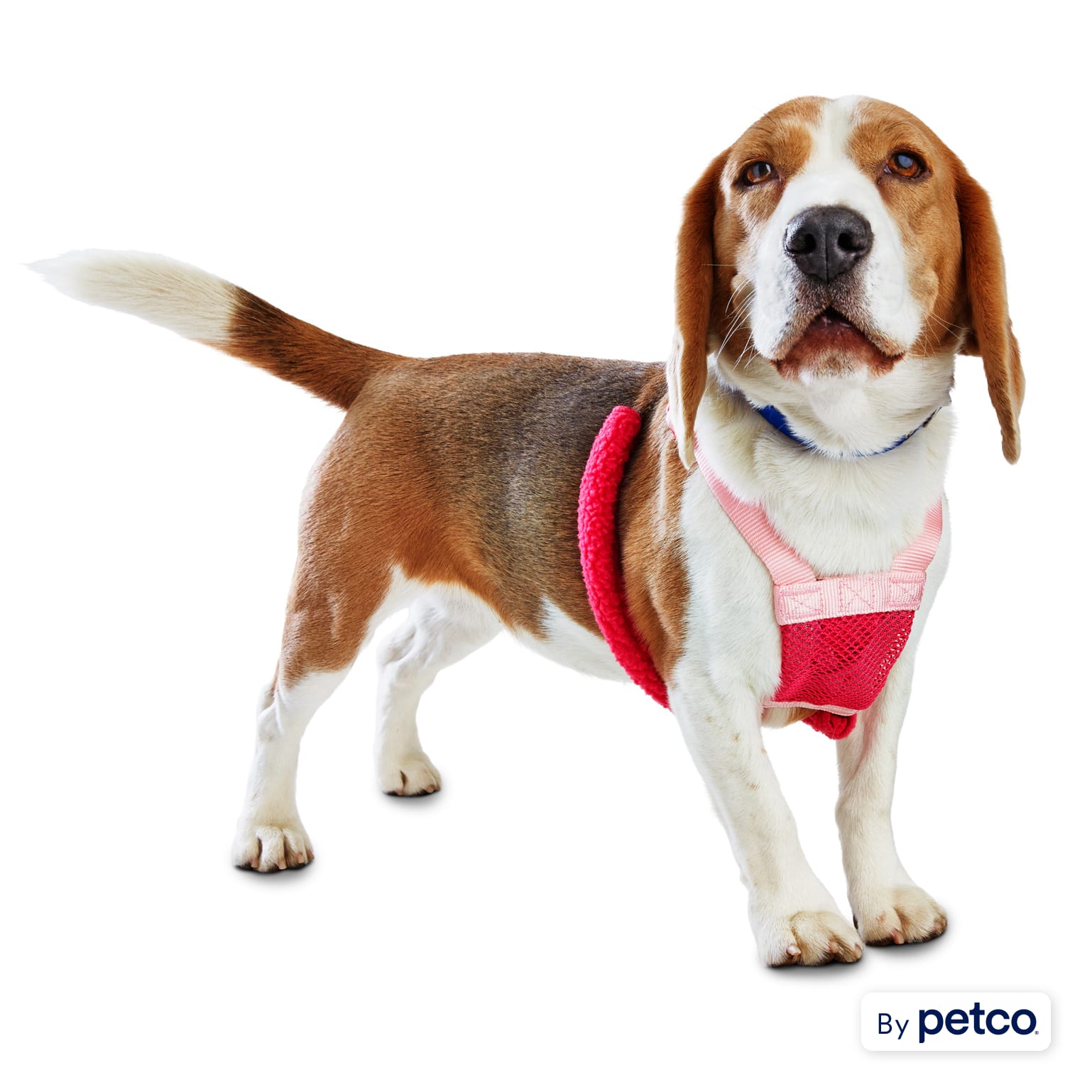 EveryYay Medium Pink No Pull Dog Harness Durable Nylon