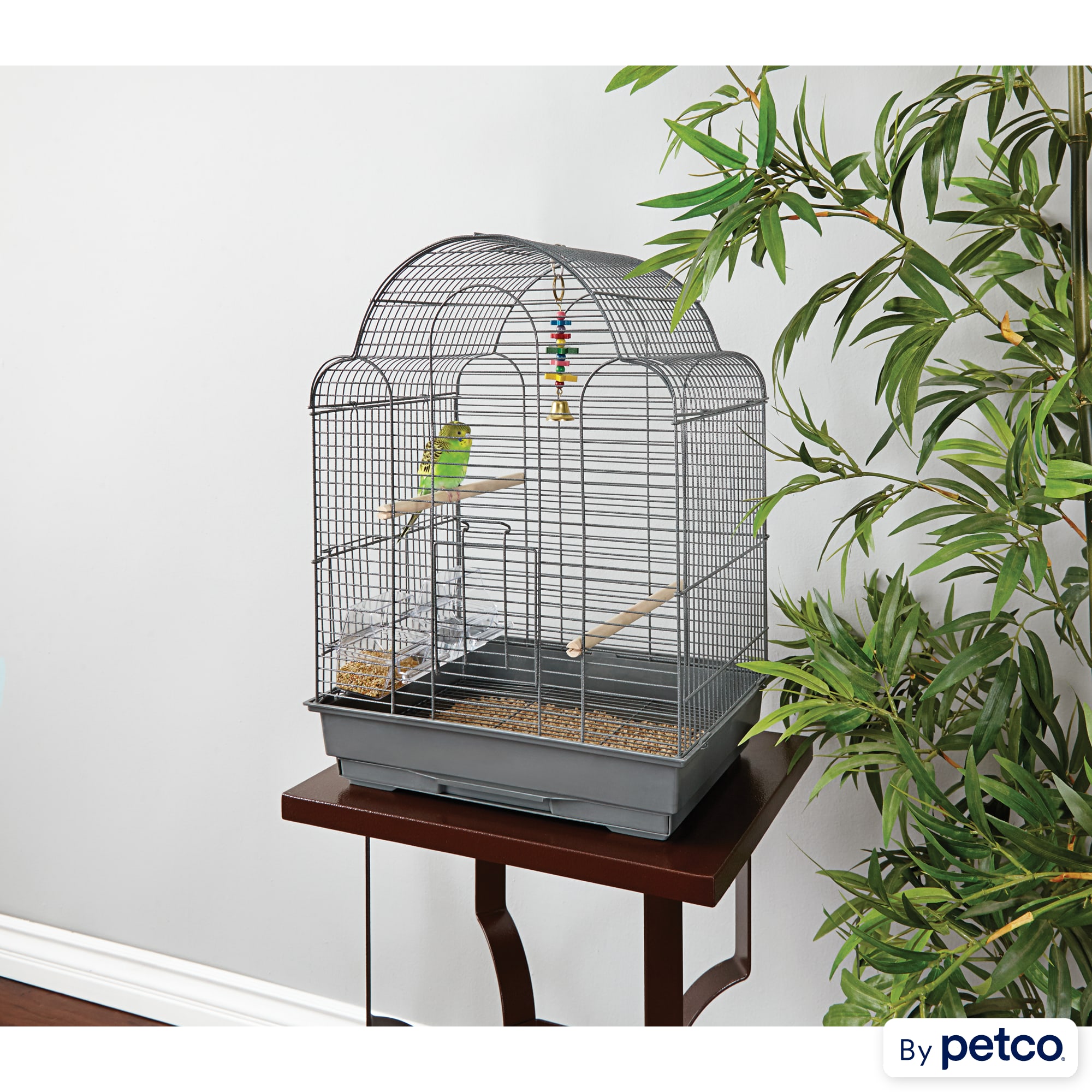 Petco parrot cages discount