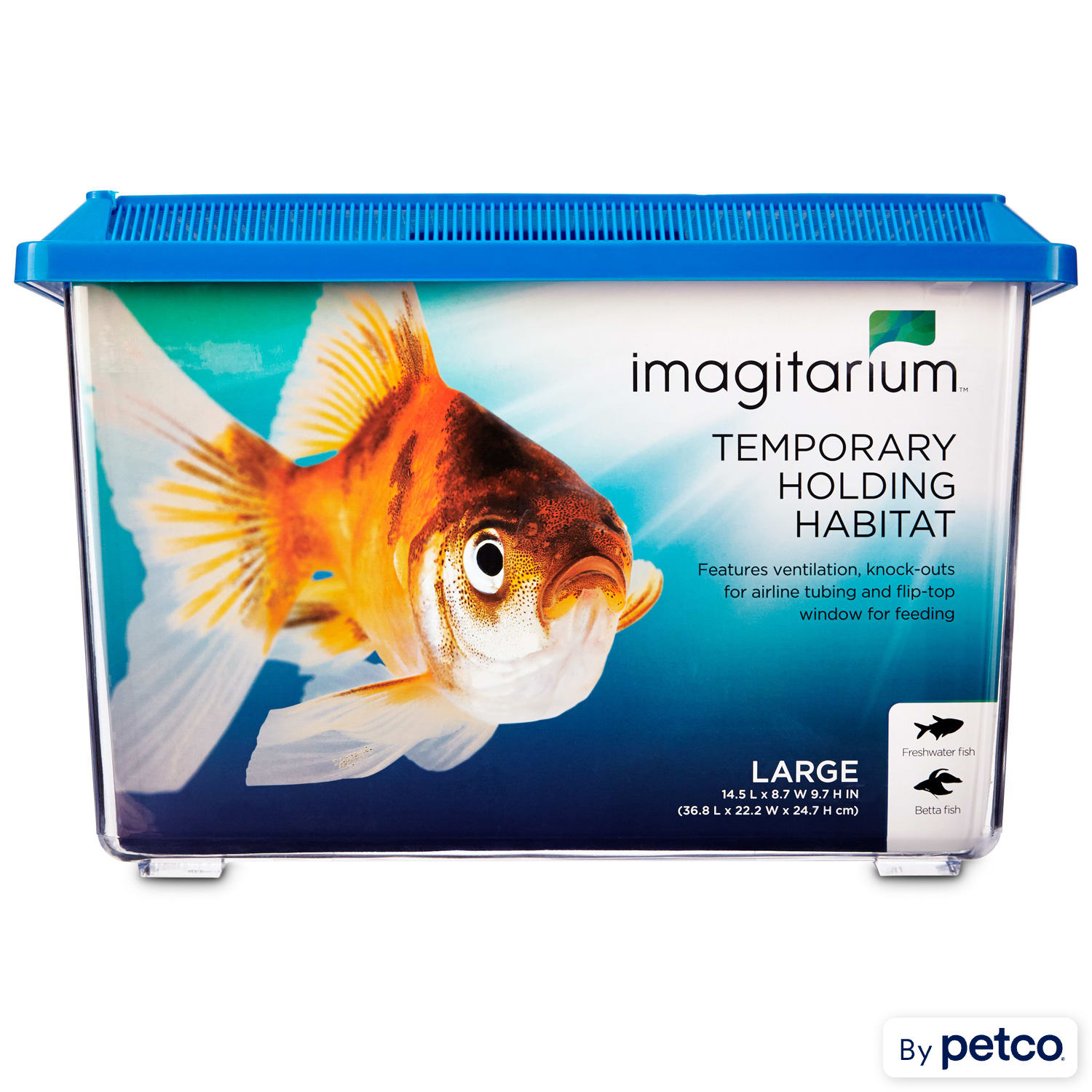 Betta fish deals toys petco