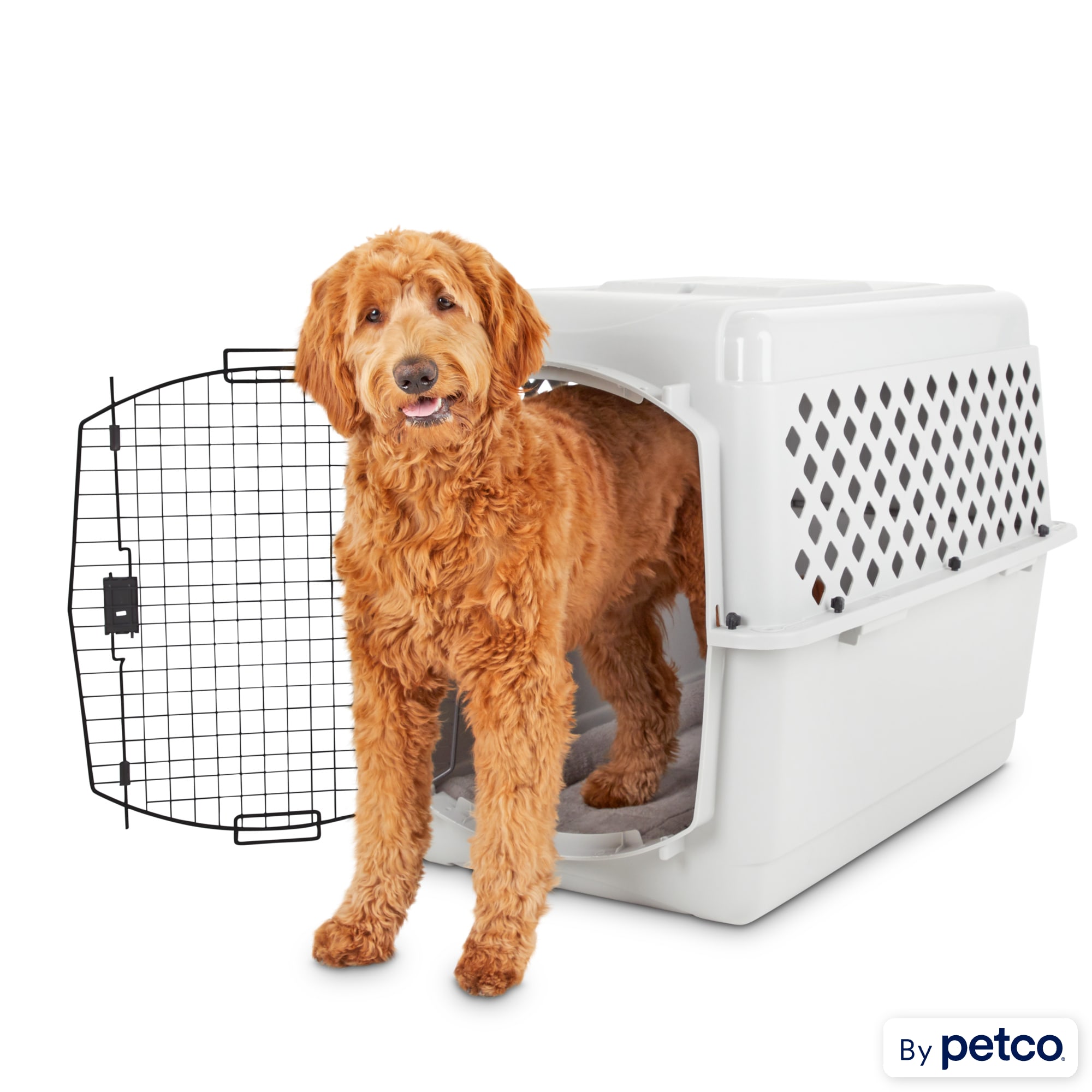 Petco kennels for dogs discount