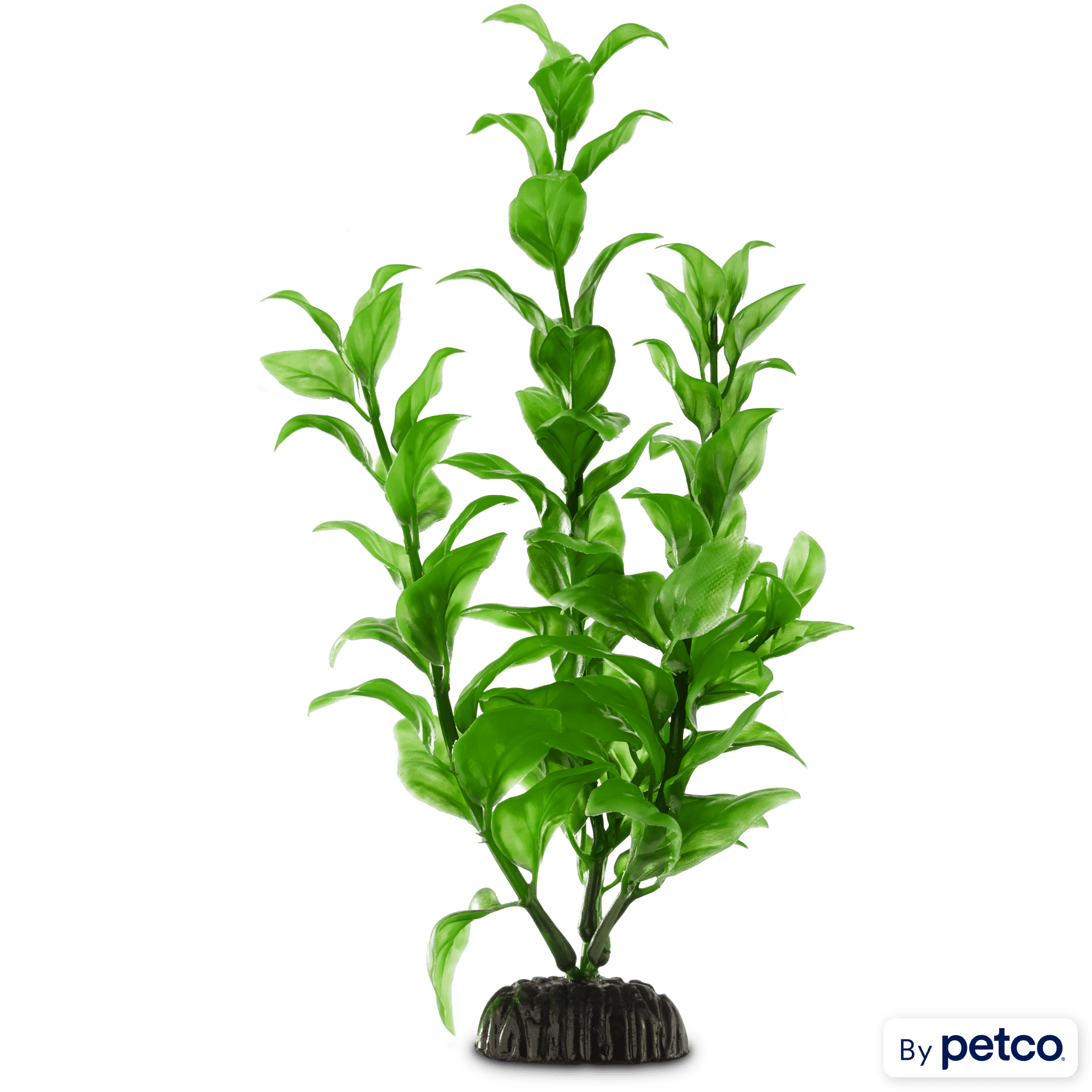 Imagitarium Green Ambulia Midground Plastic Aquarium Plant Petco