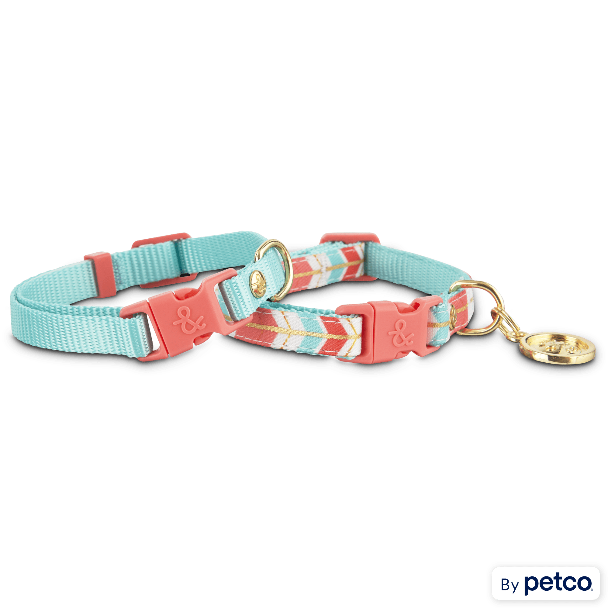 Turquoise puppy collar 2025