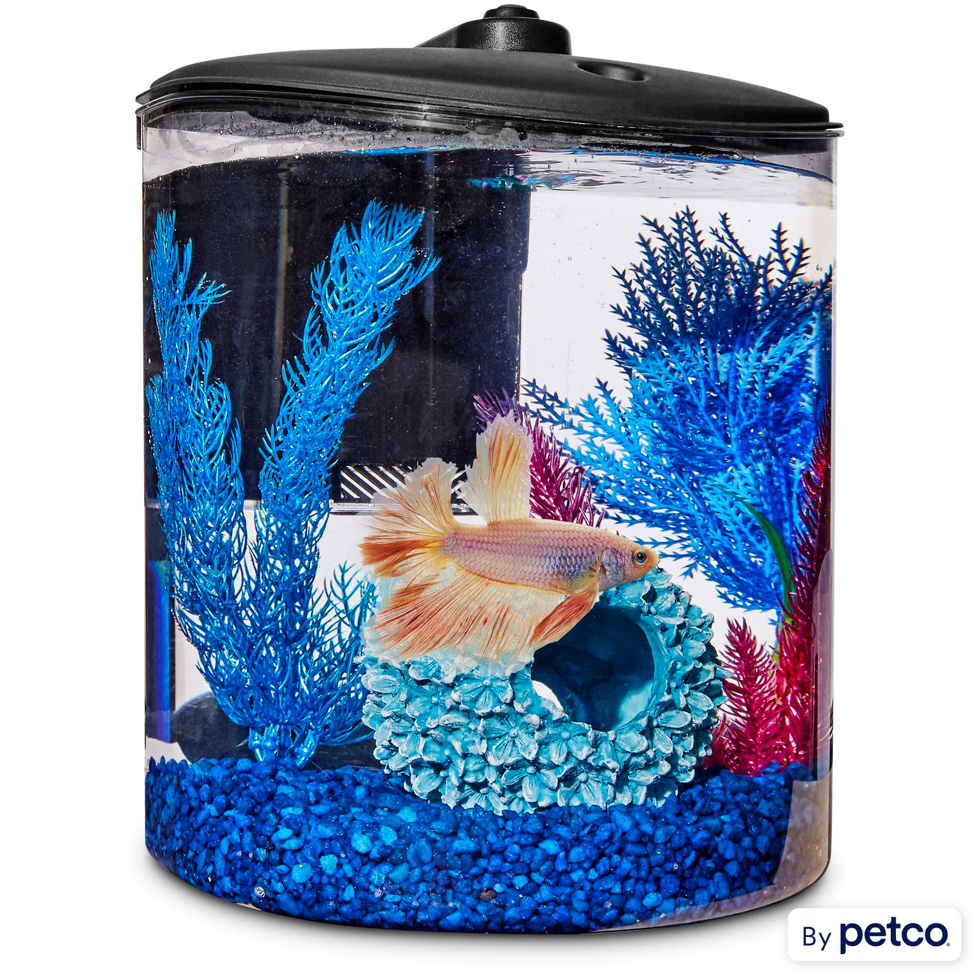 Betta fish tank kit top