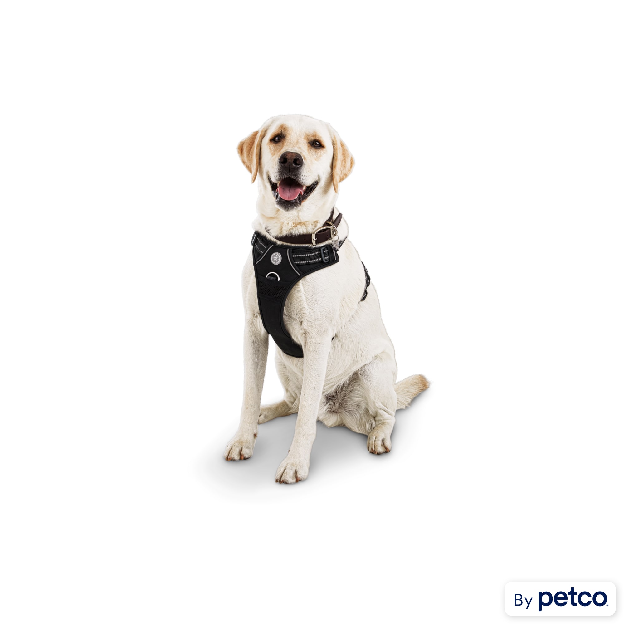 Good2Go Black Front Walking Dog Harness Large Petco