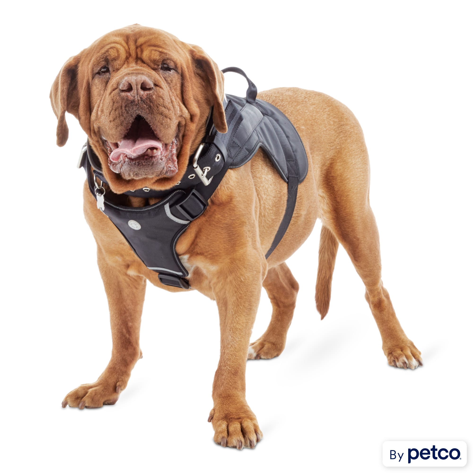 Good2go sales mesh harness