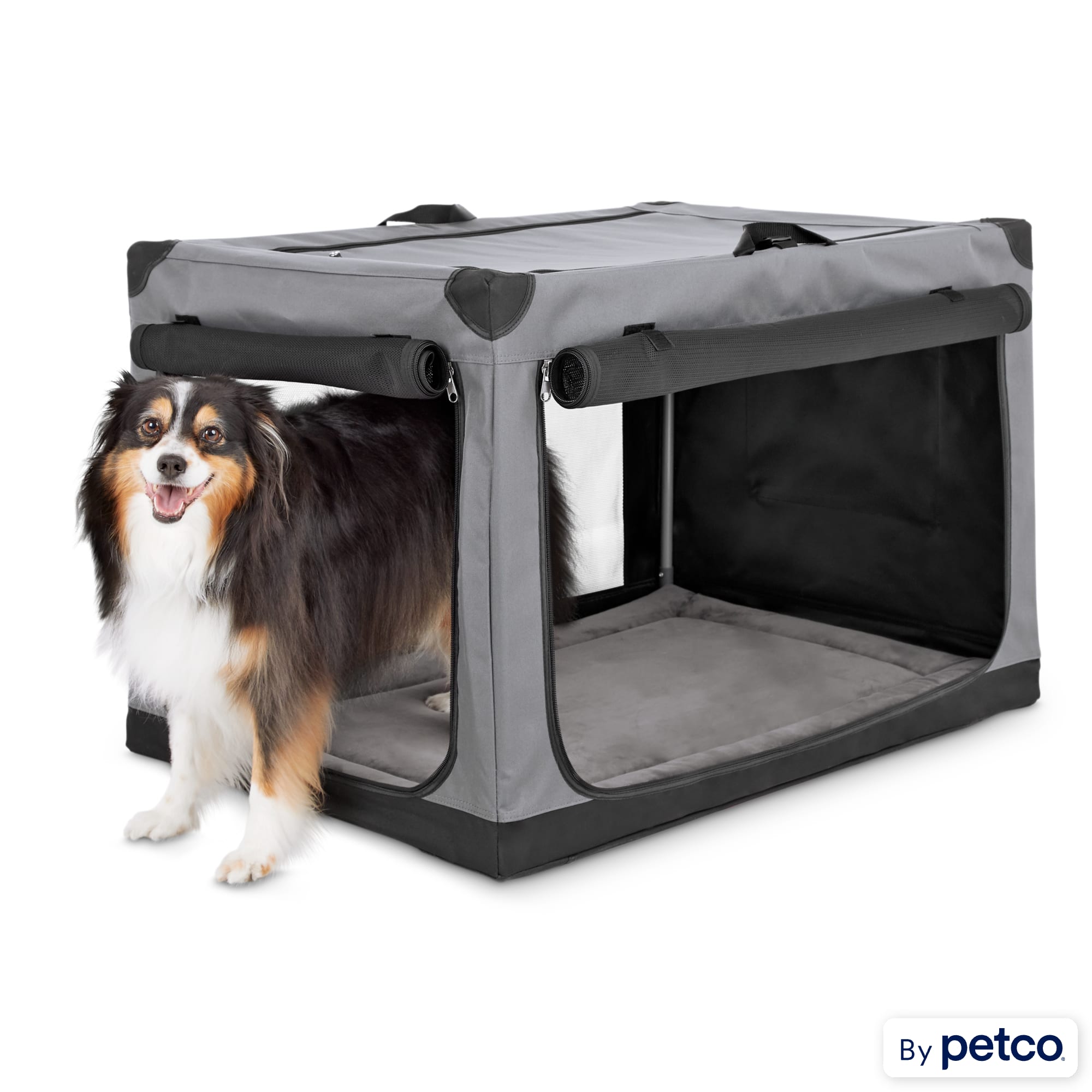 Petco portable dog crate clearance