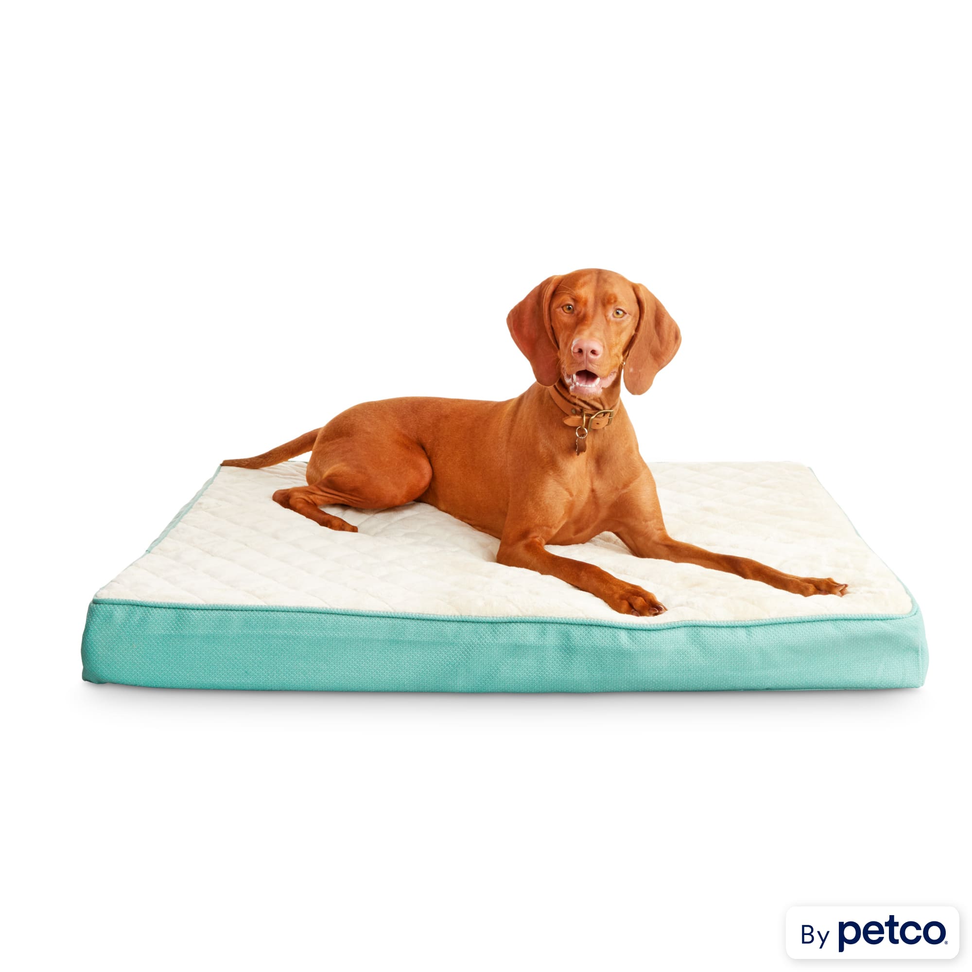 Harmony grey patched pillowtop lounger orthopedic dog bed clearance