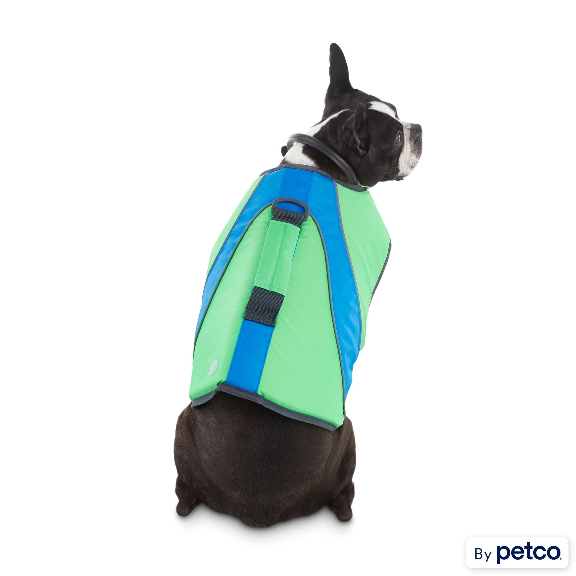 Petco dog flotation new arrivals vest