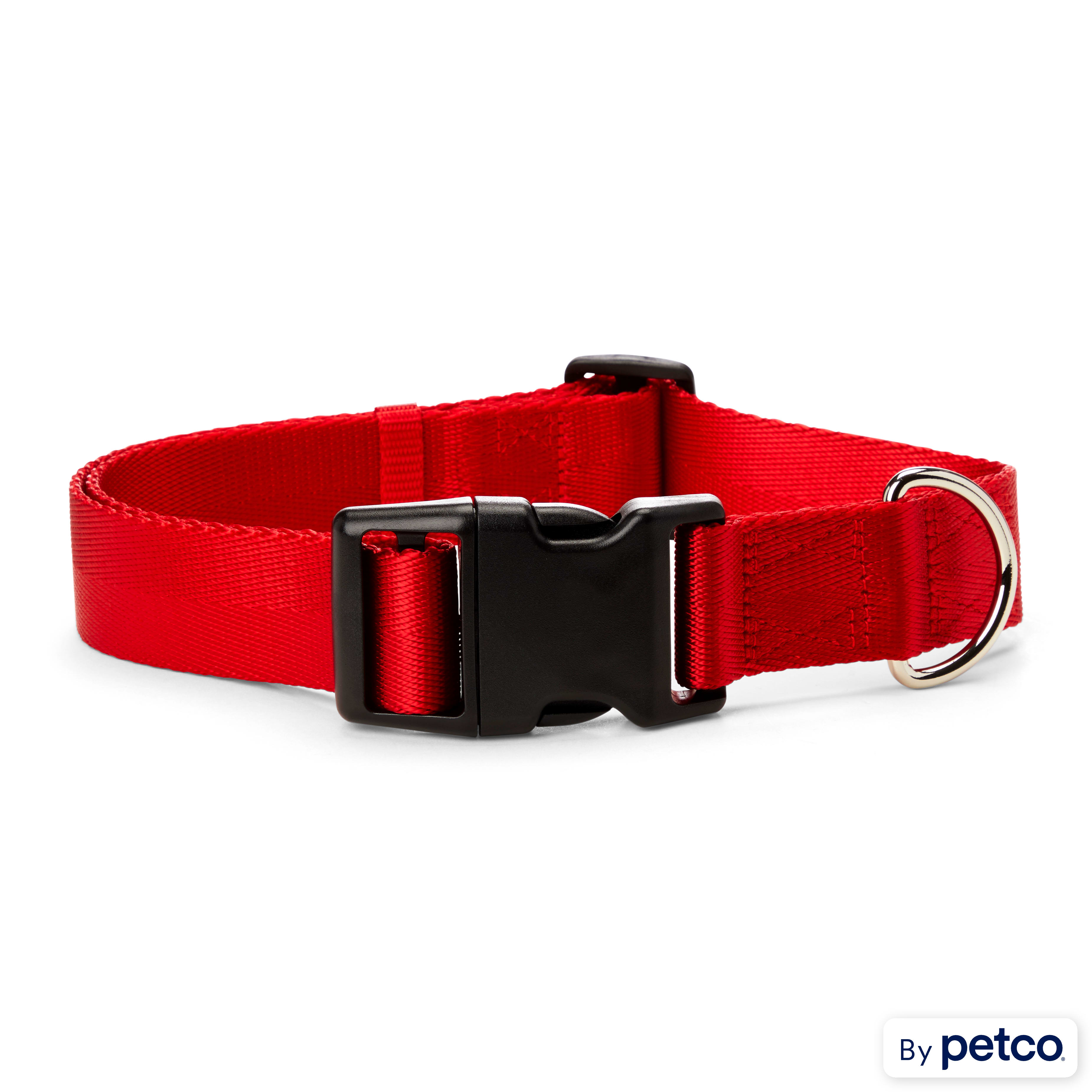 YOULY The Classic Red Webbed Nylon Dog Collar Small Petco