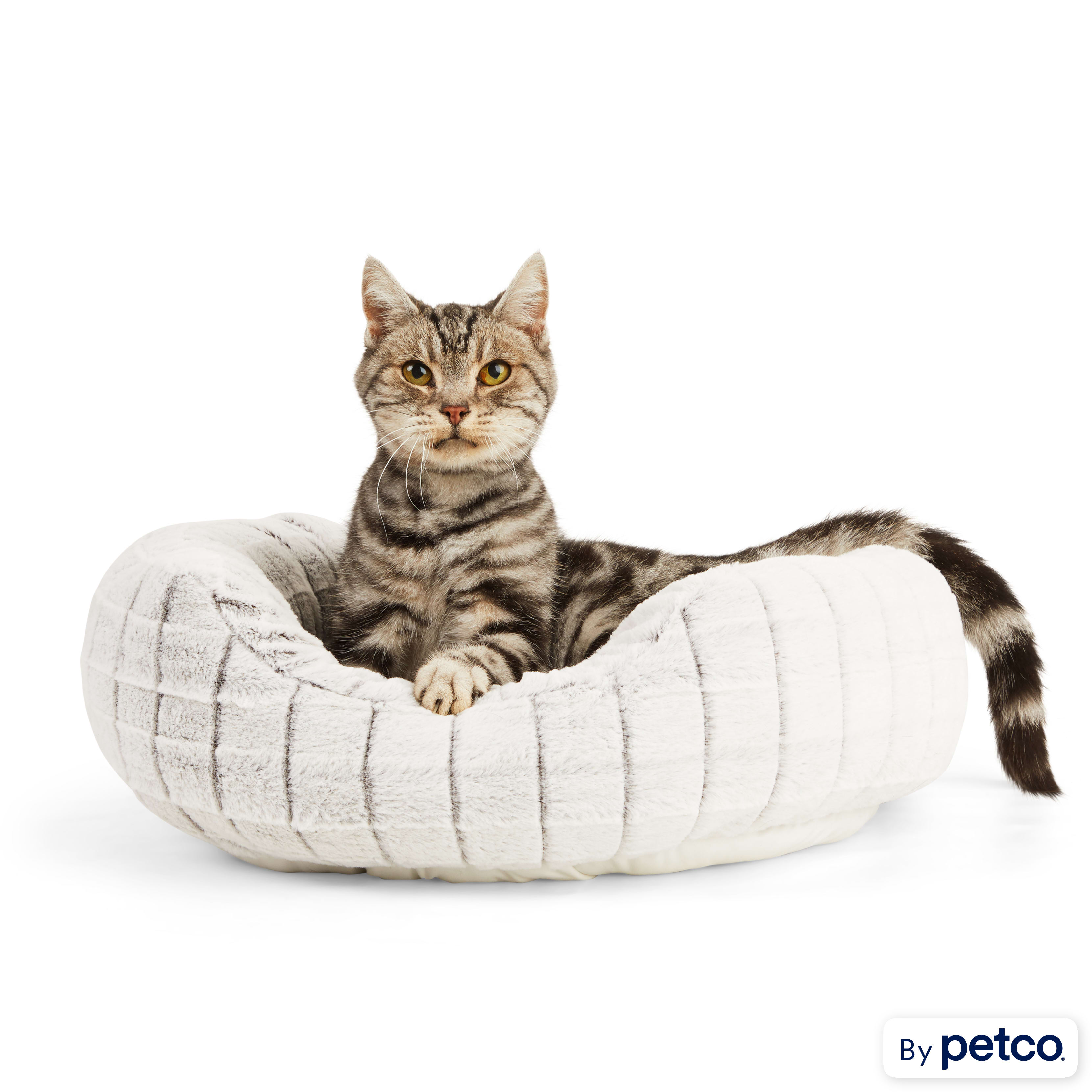 Show me cat beds discount