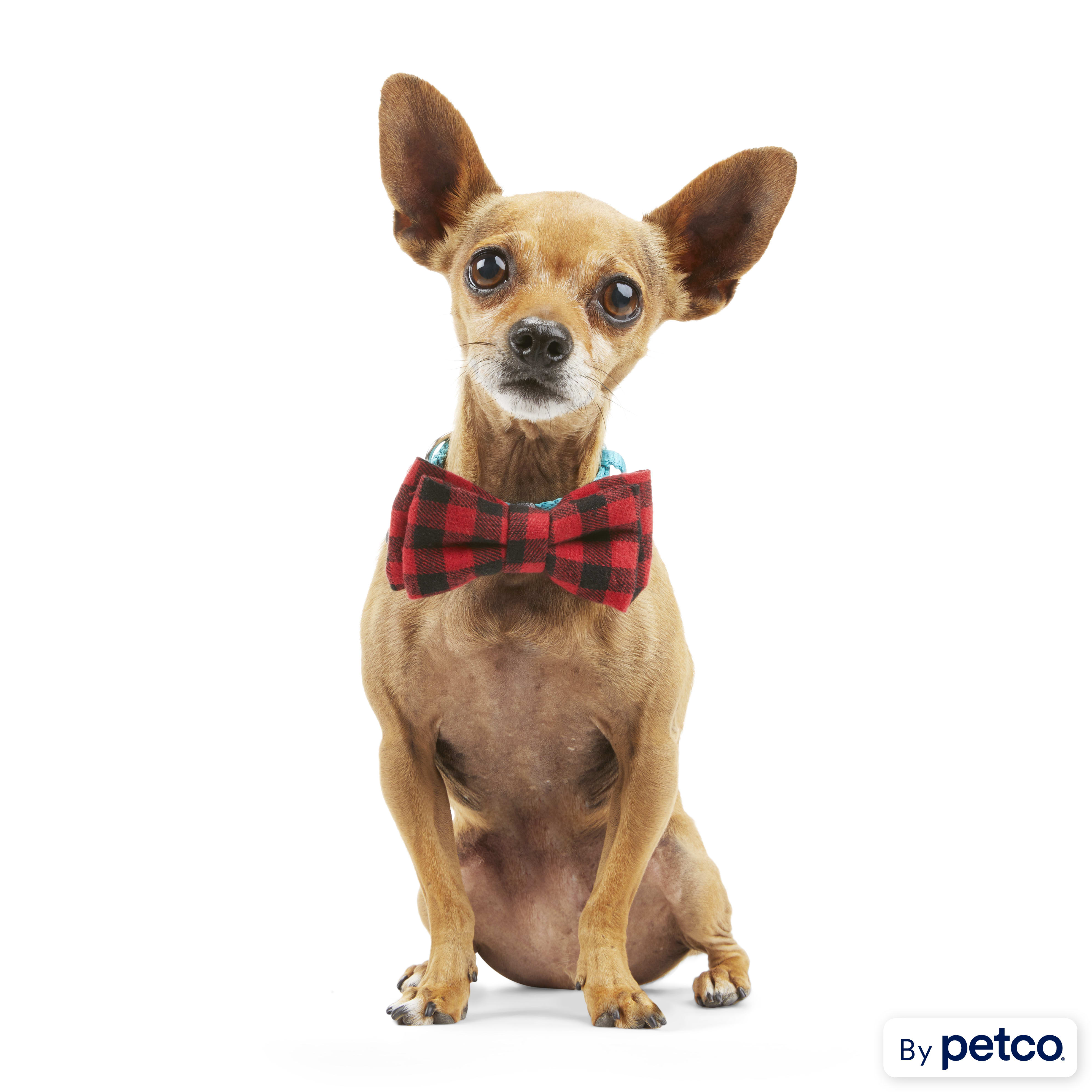Petco bow tie shop