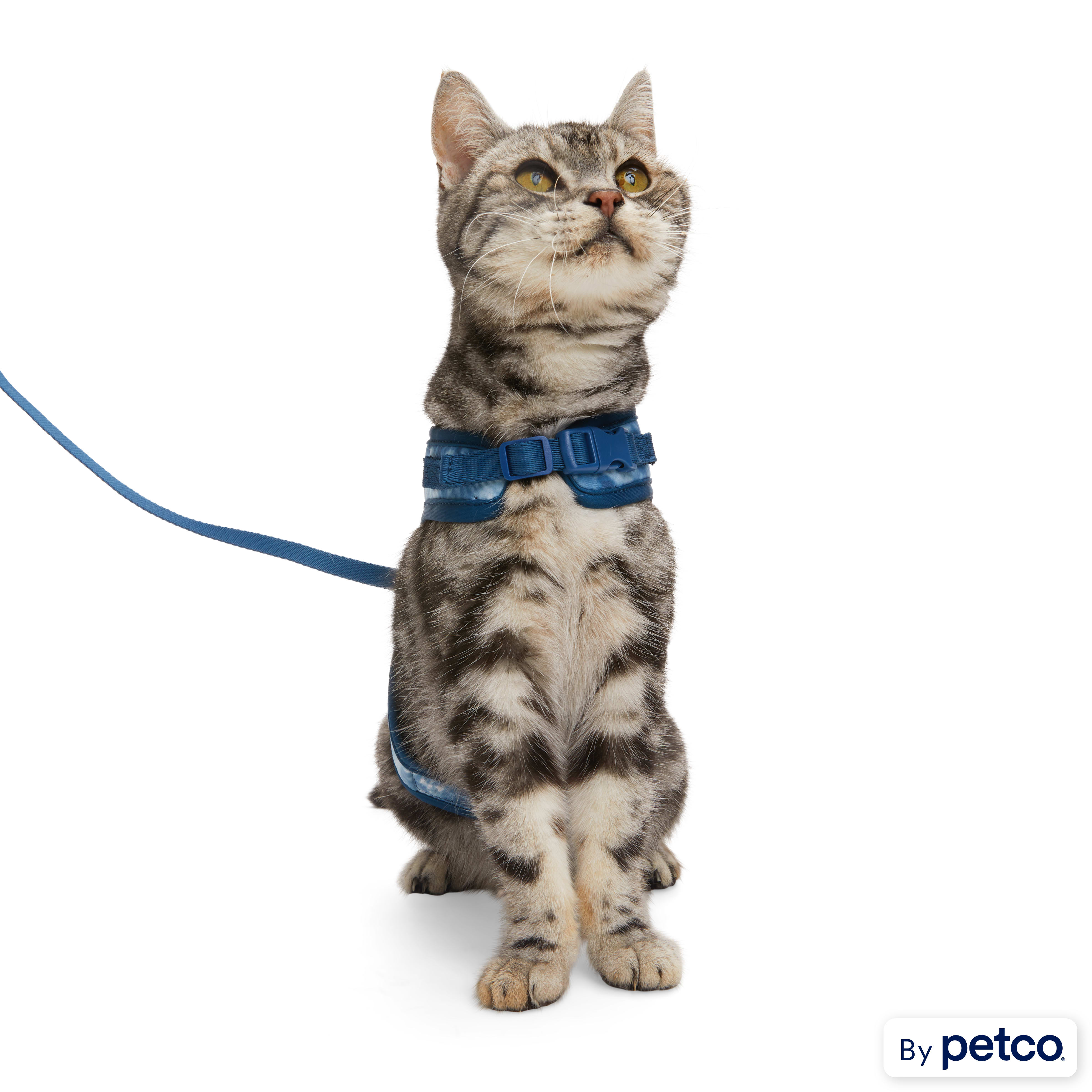 YOULY Tie Dye Cat Harness Leash Set Medium