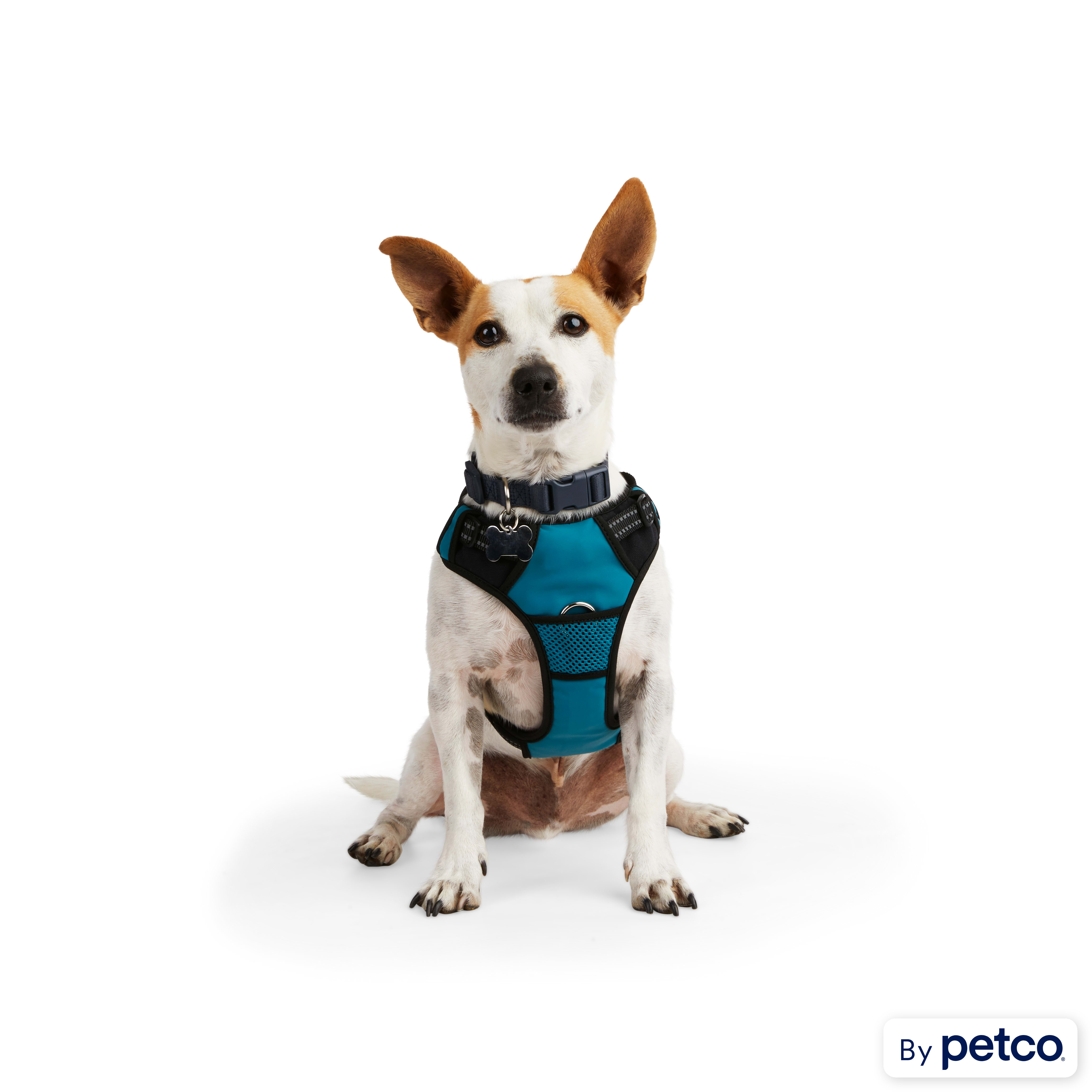 Bird harness shop petco