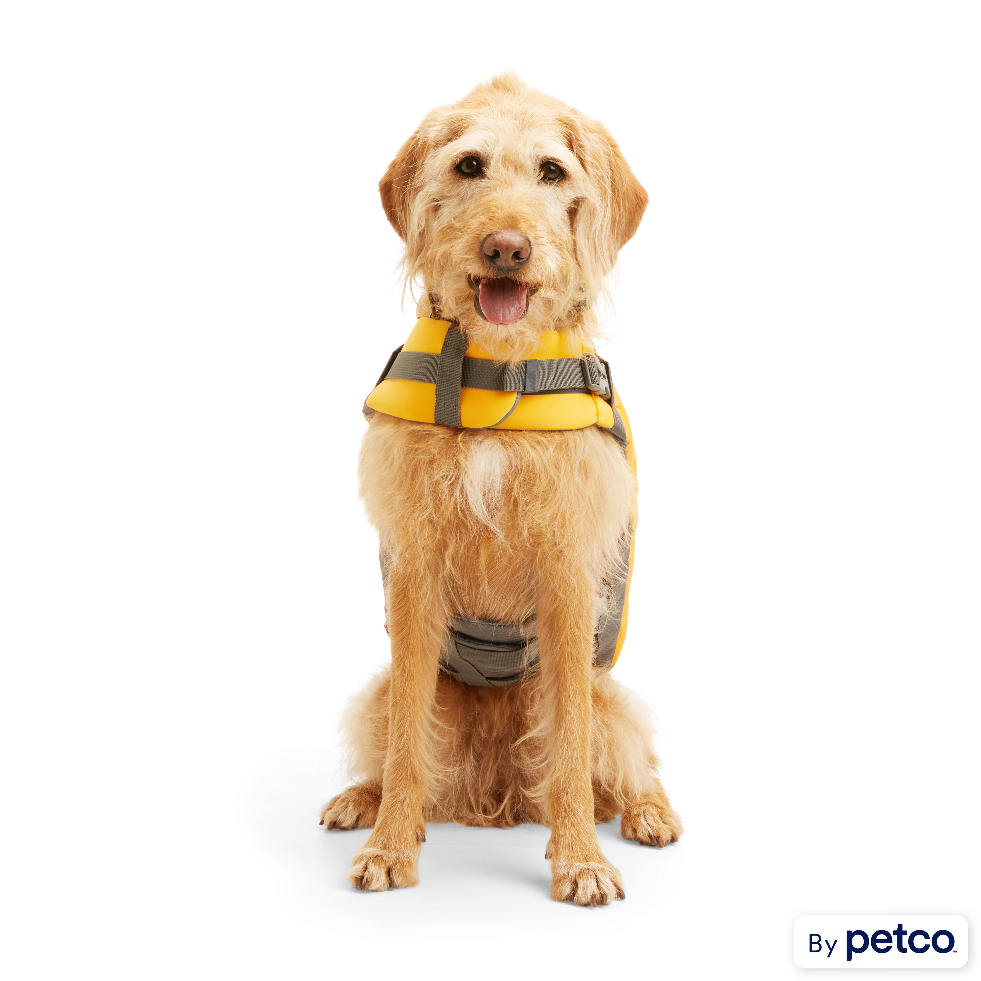 Petco life vest sales