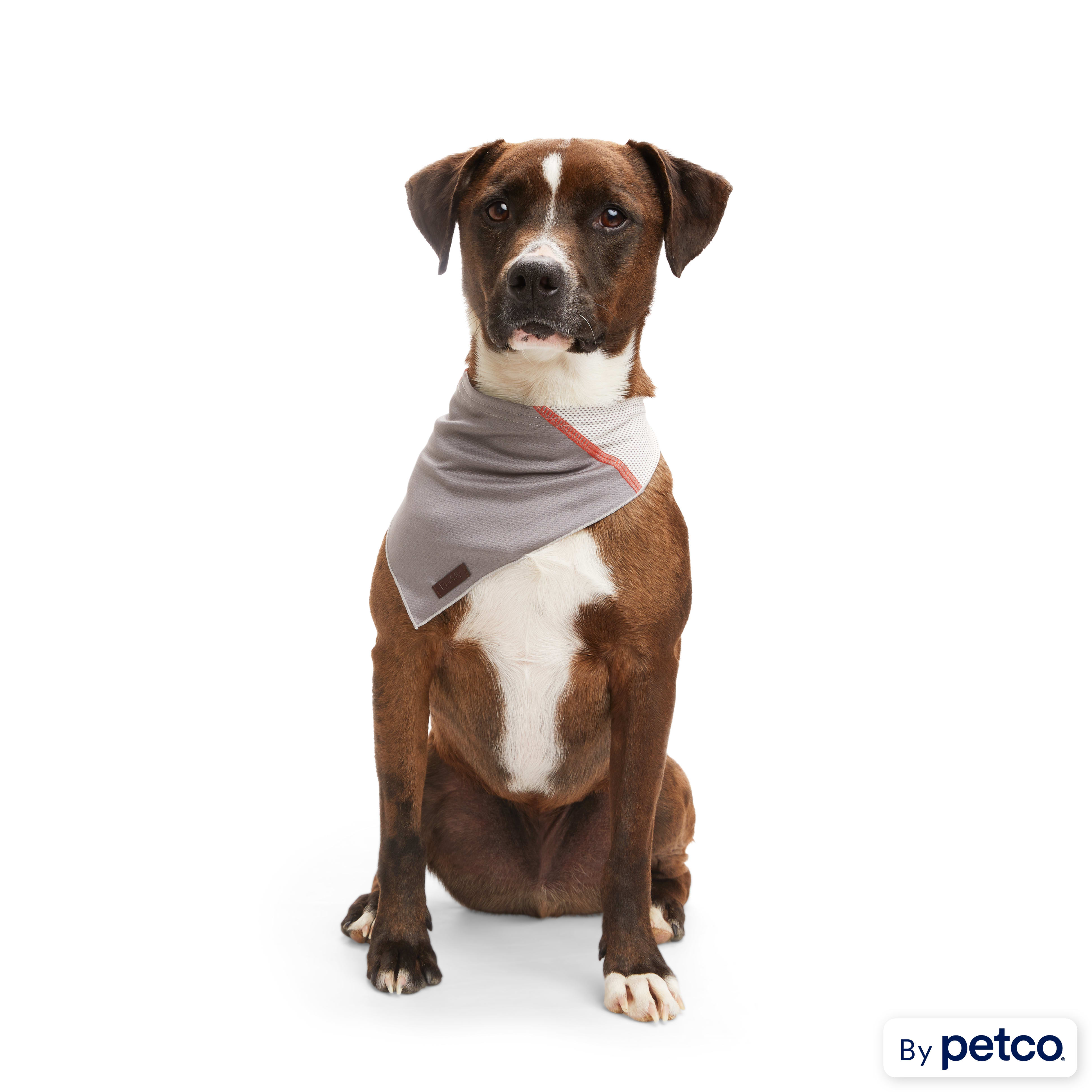 Petco dog bandanas top