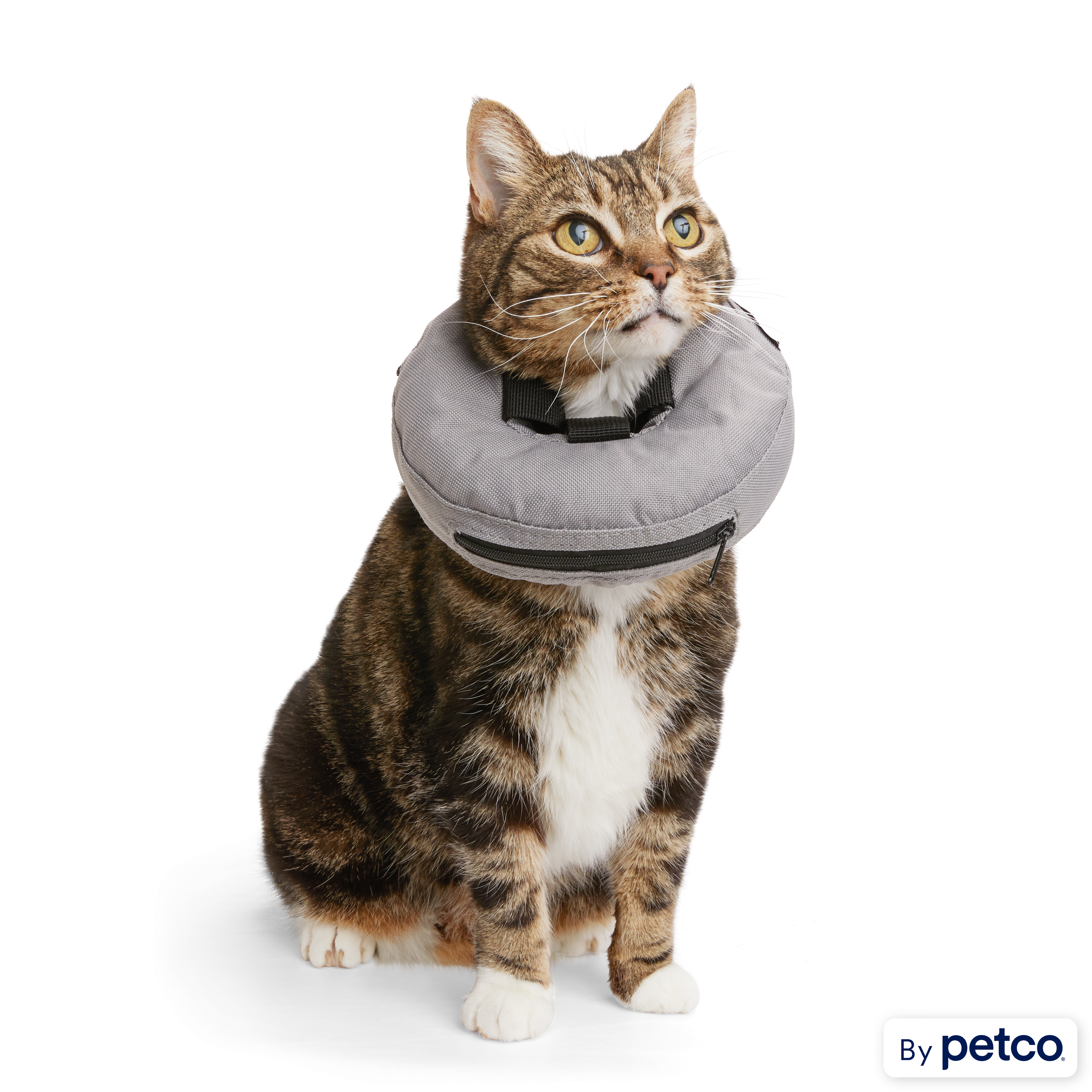 Well Good Inflatable Recovery Cat Collar Petco