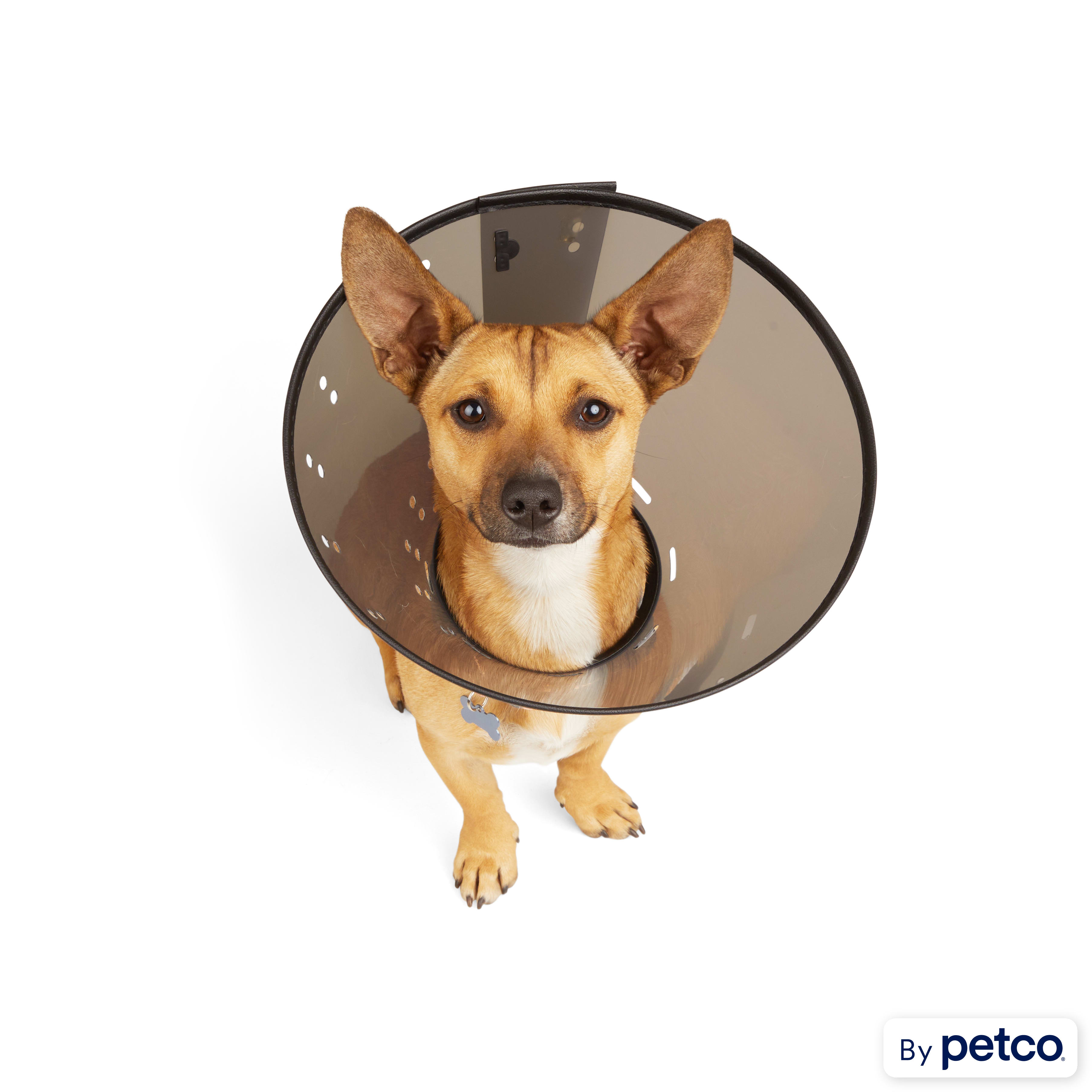 Petco soft sale dog cone