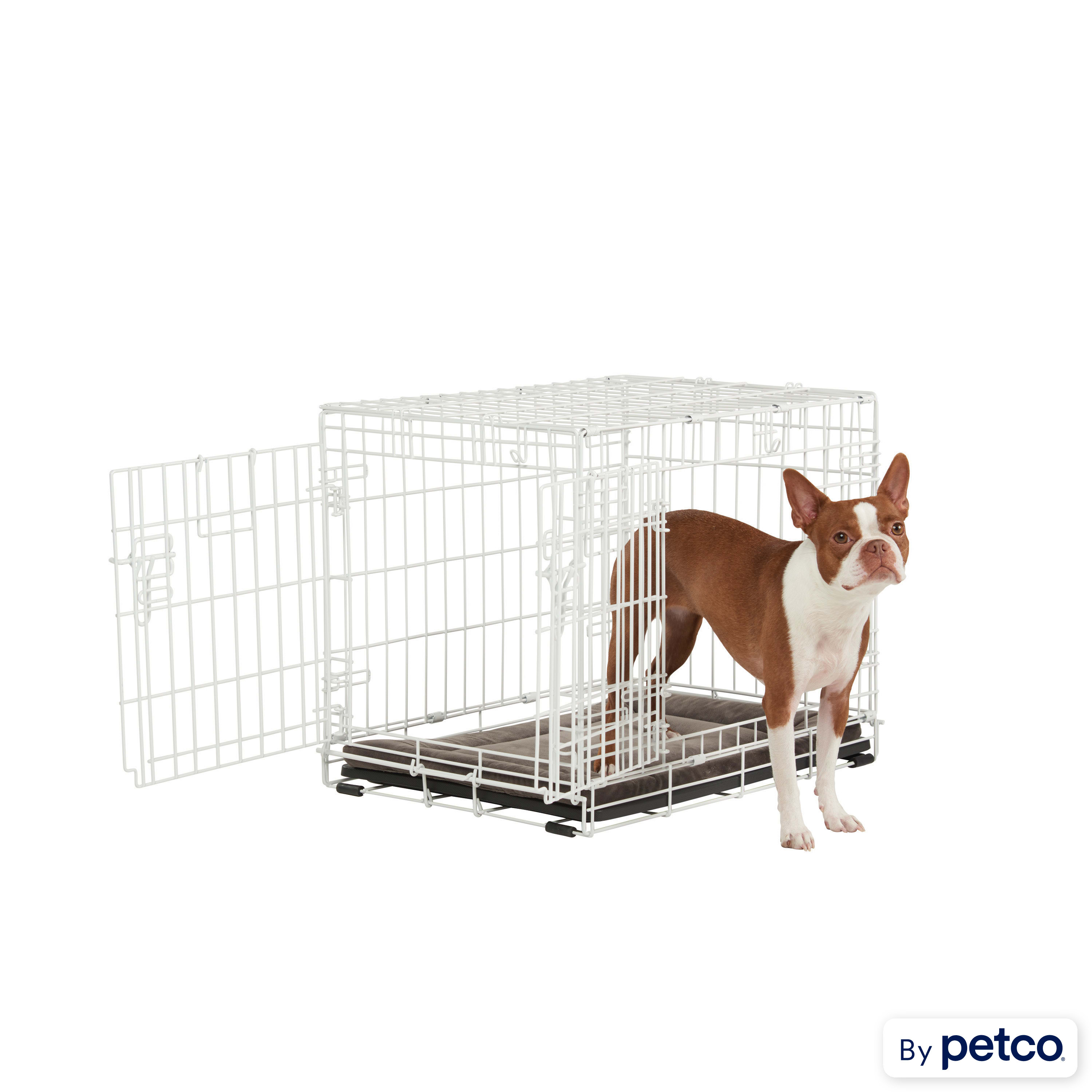 EveryYay Going Places 1-Door Folding Dog Crate, 36 L X 22.5 W X 24.9 H