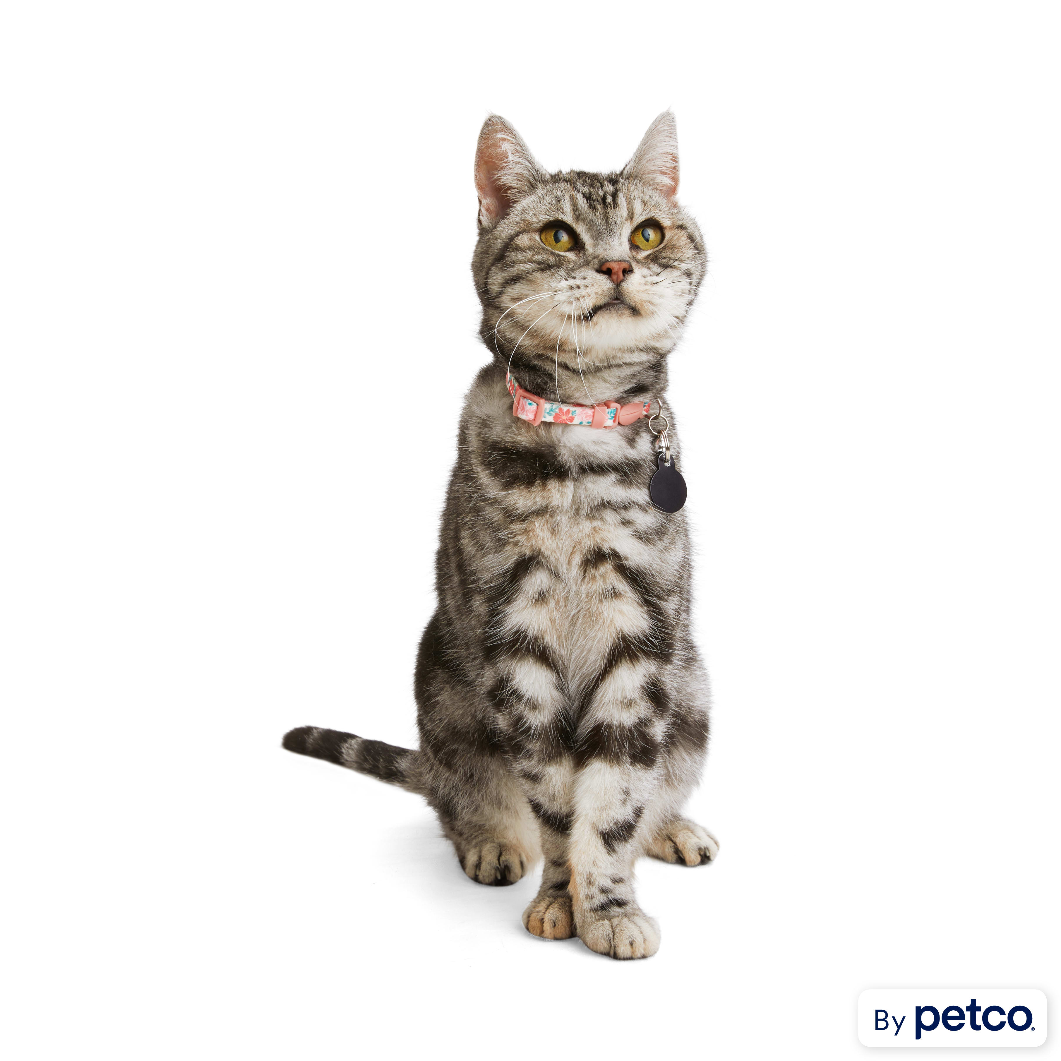 Calming collar for cats petco clearance