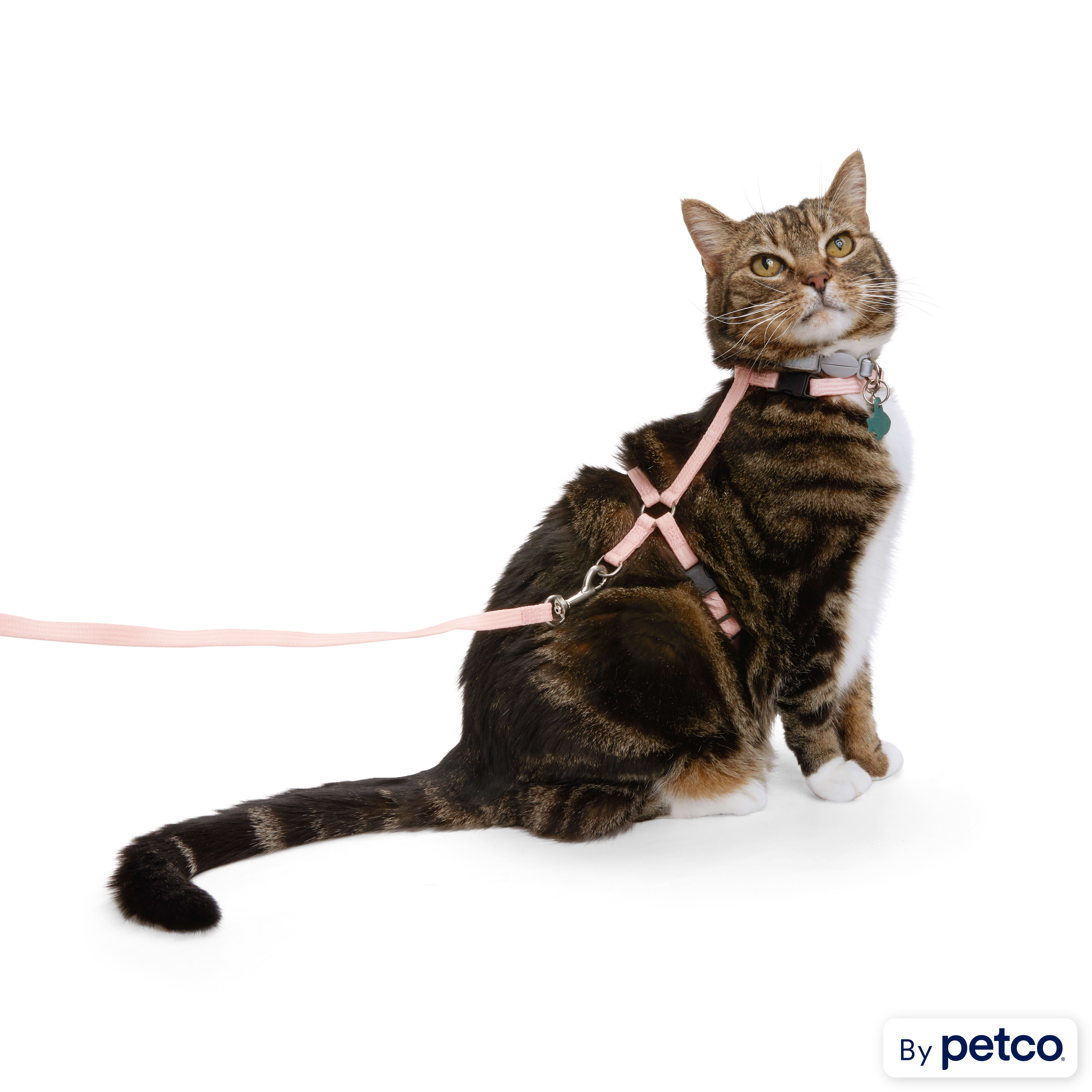 YOULY Pink Glow in the Dark Cat Harness Lead Petco