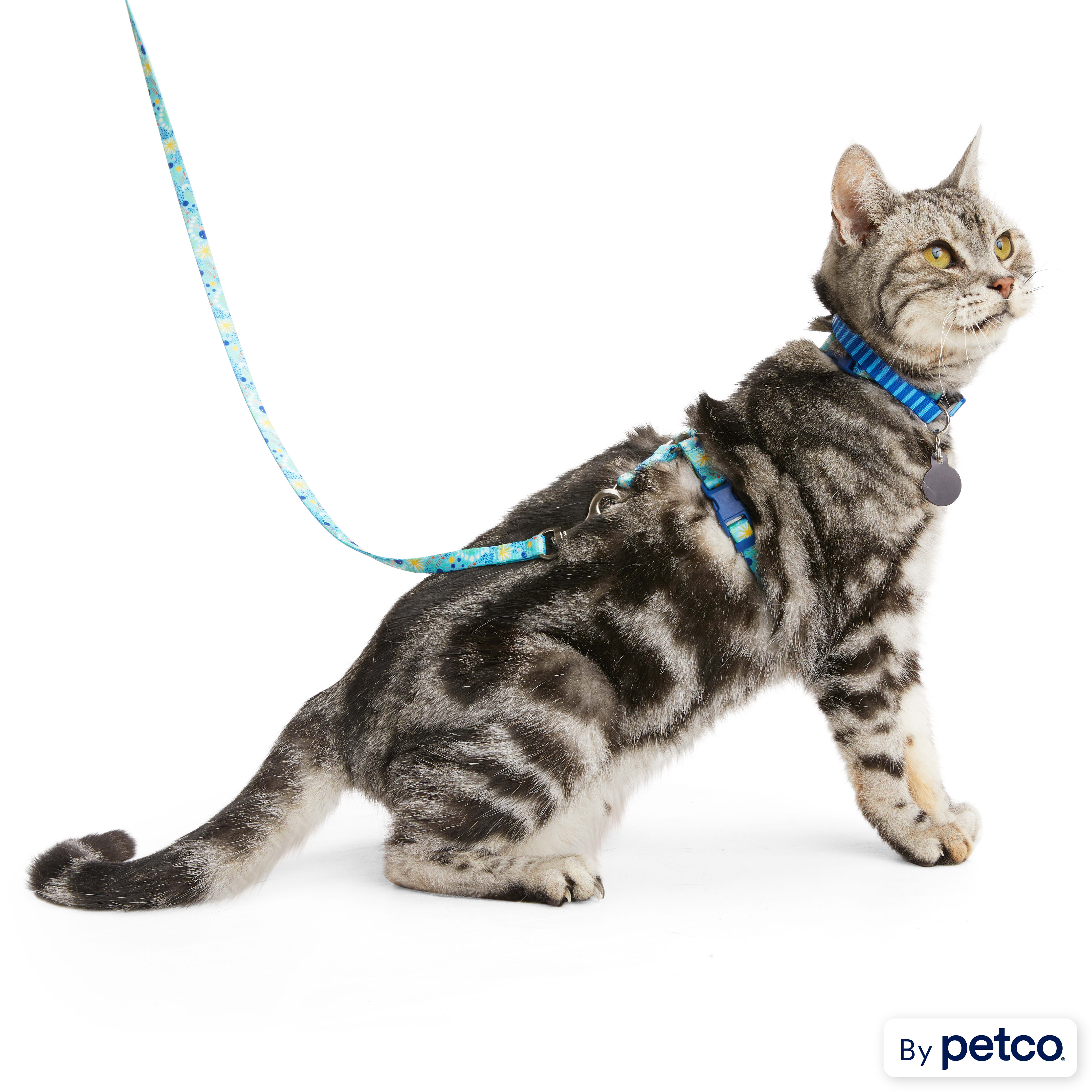 Petco cat deals harness