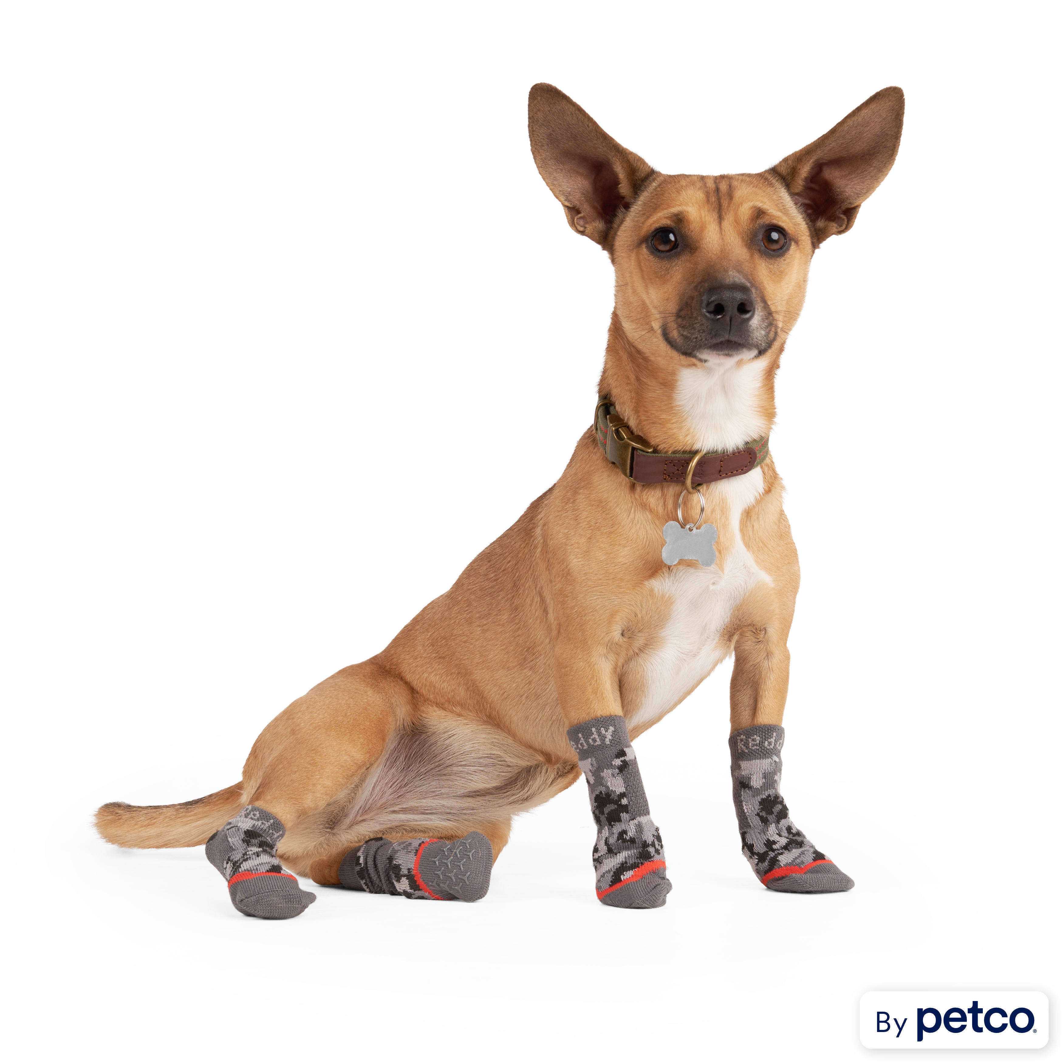 Non slip 2025 dog socks petco
