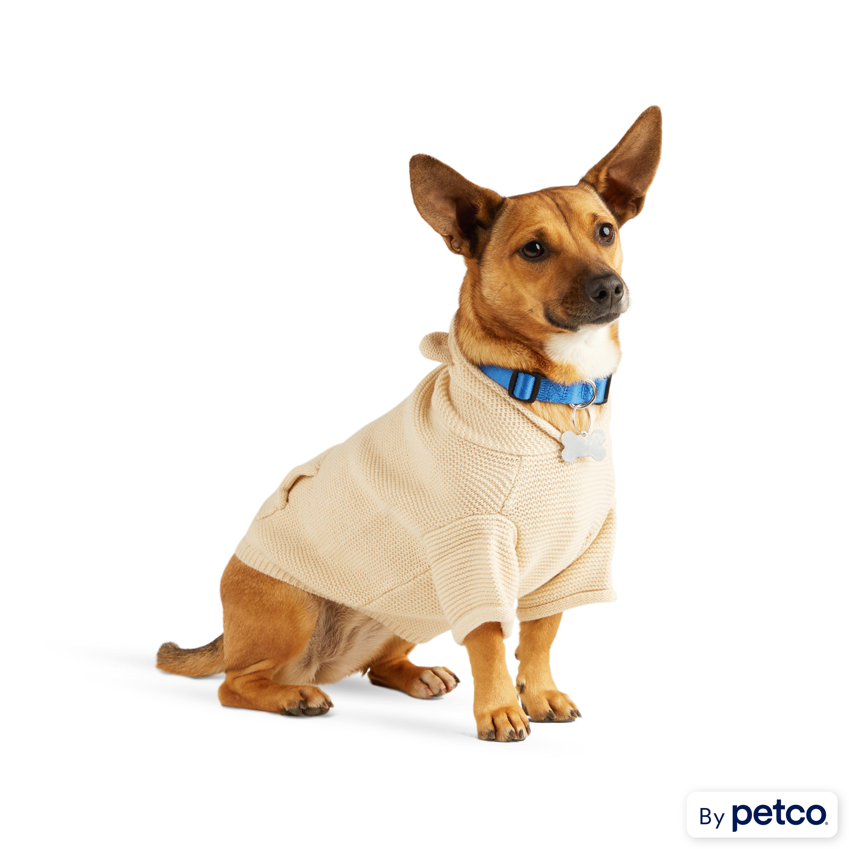 Petco sweater shop