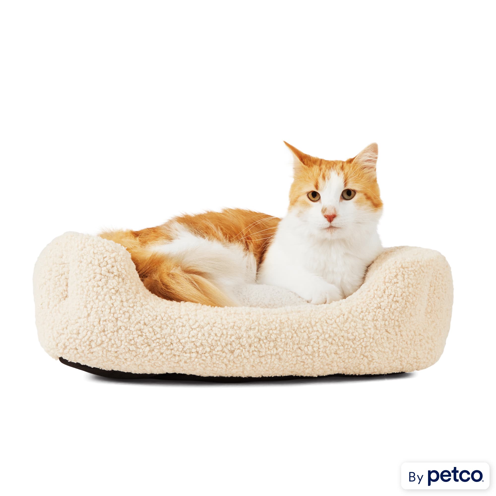 Petco pusheen best sale bed