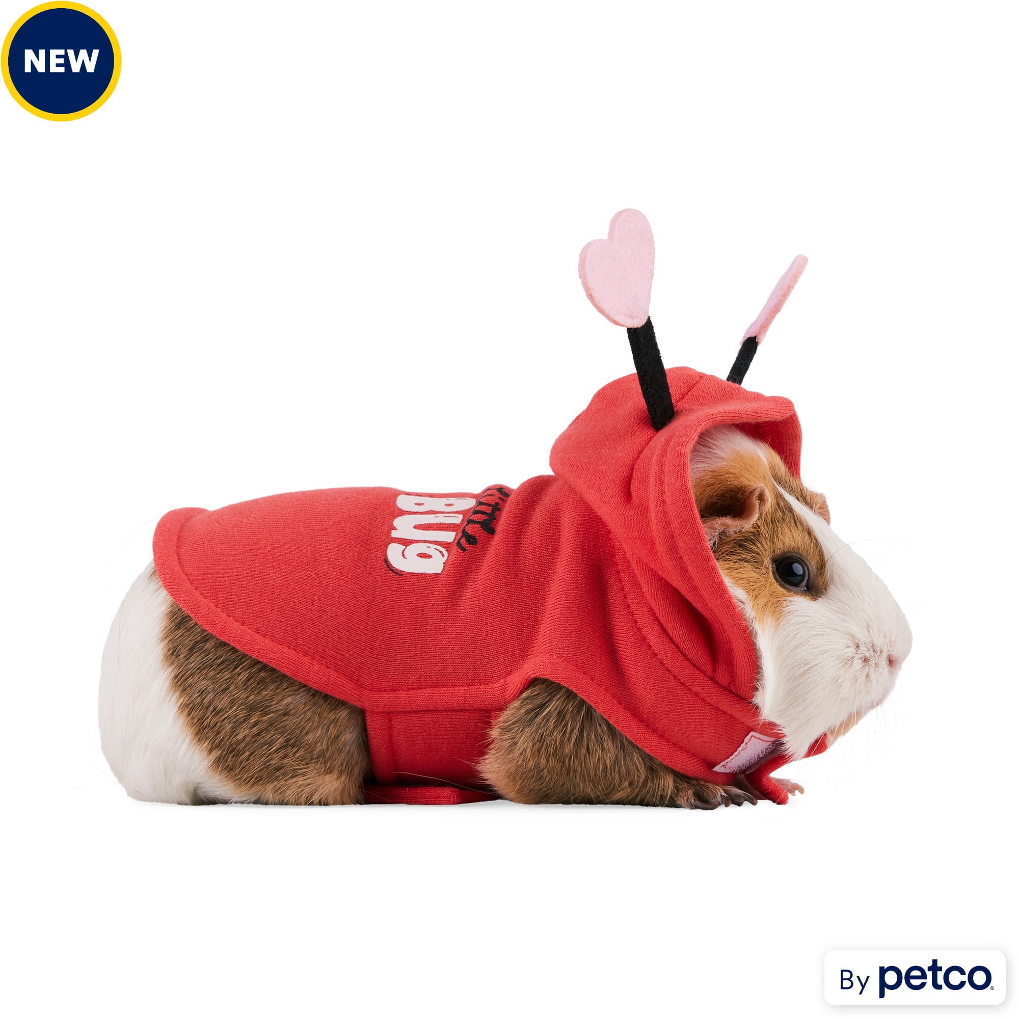 Guinea pig leash sales petco