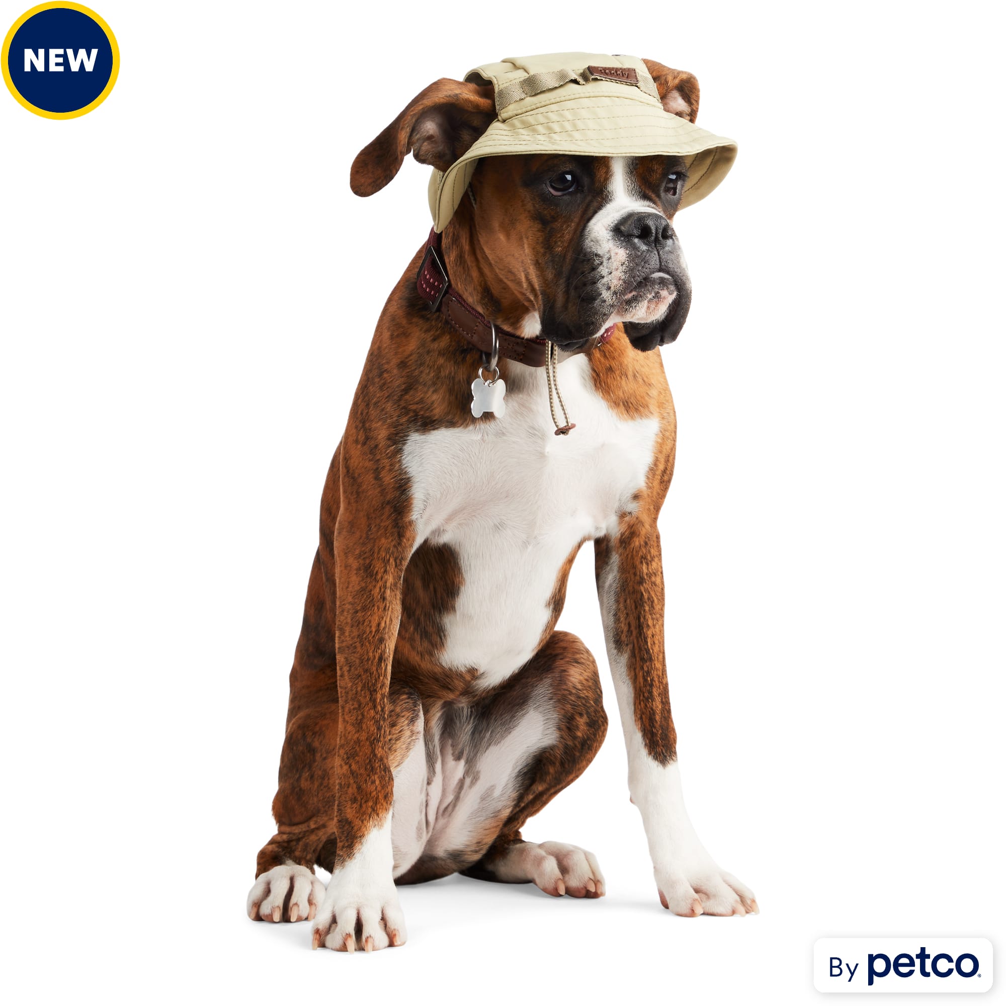 Dog hats petco outlet