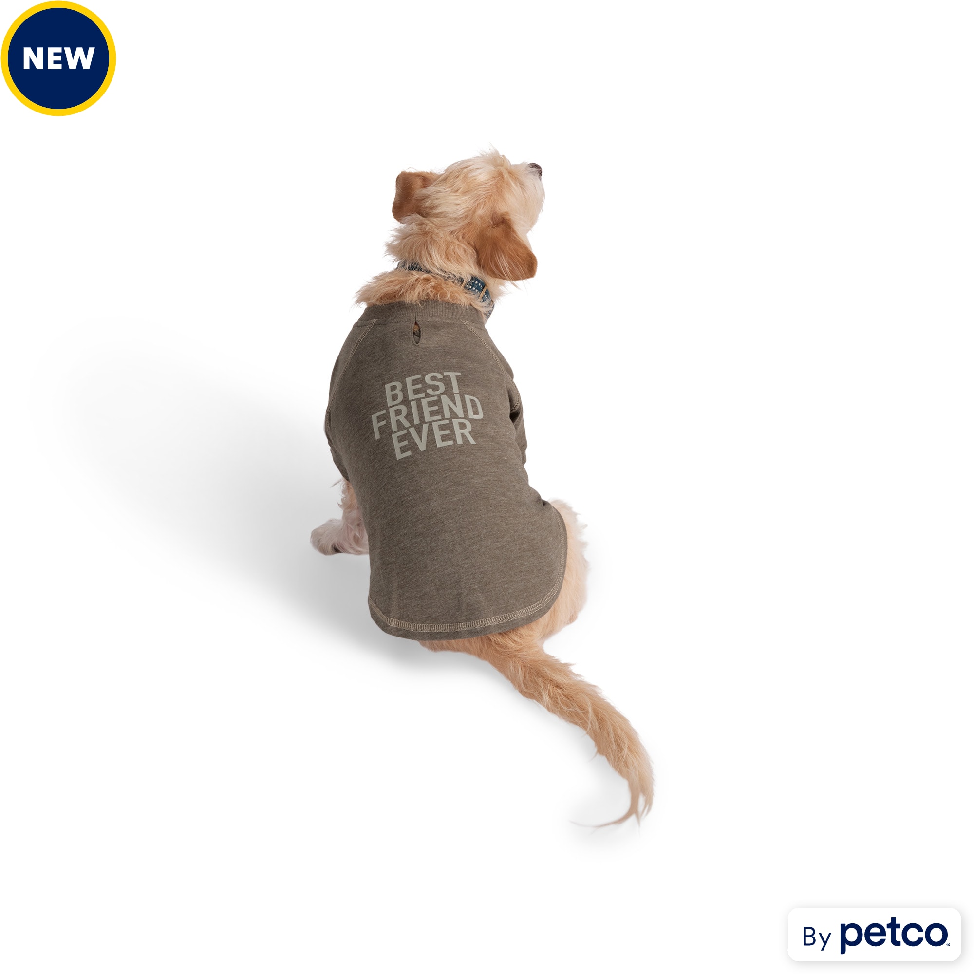 Reddy BFF Dog Tee X Small Grey Petco