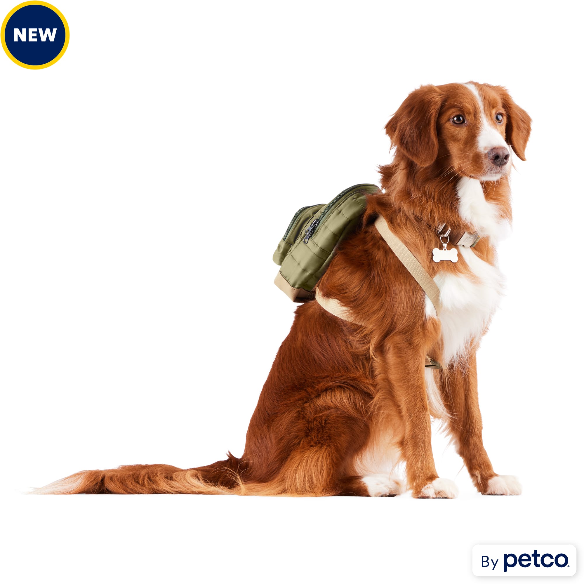 Petco dog store backpack