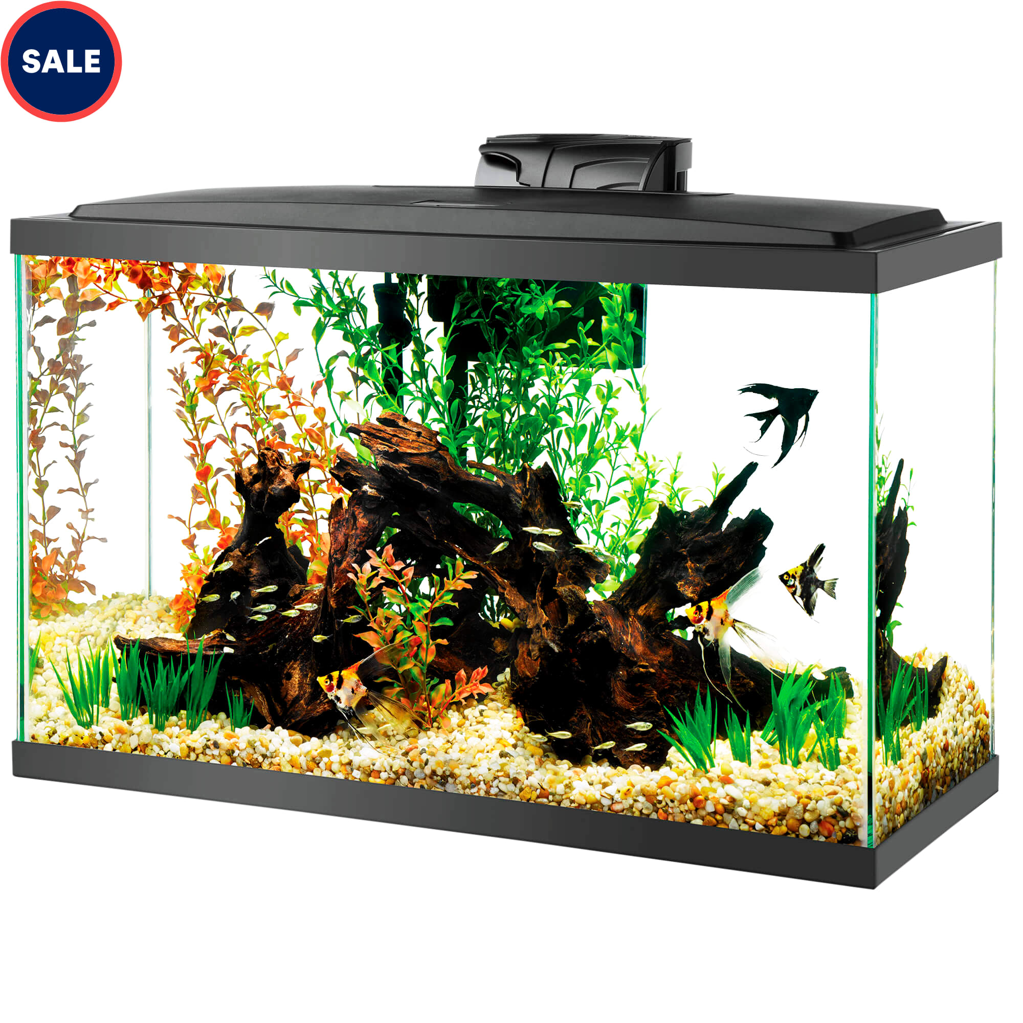 29 gallon top goldfish tank