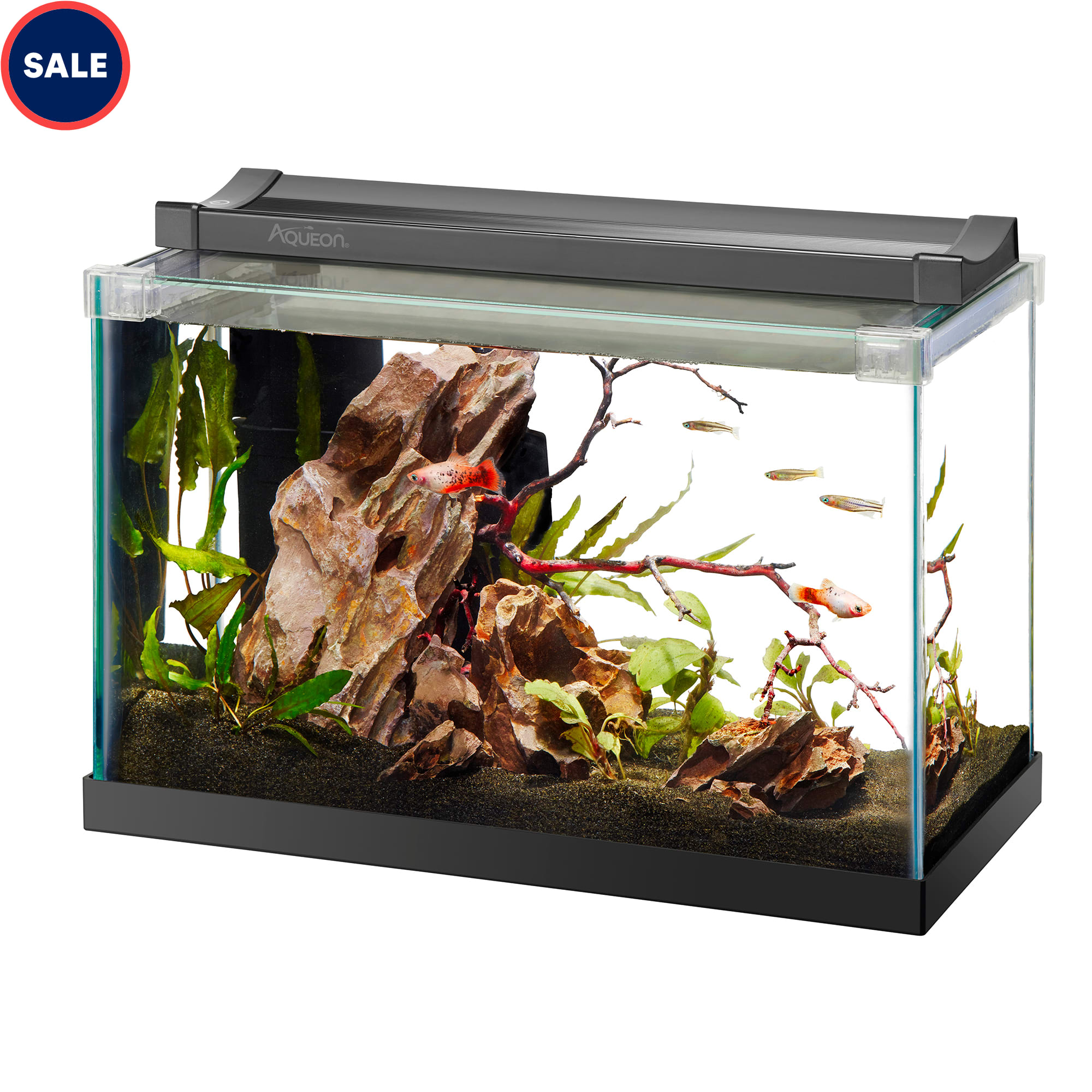 Aqueon Black Rimless Tank Aquarium 2.5 Gallon Petco
