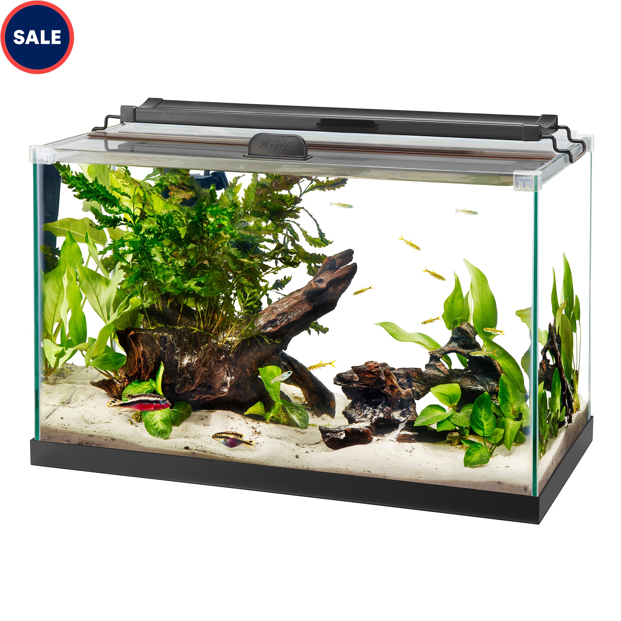 Aqueon 30 gallon frameless aquarium hot sale