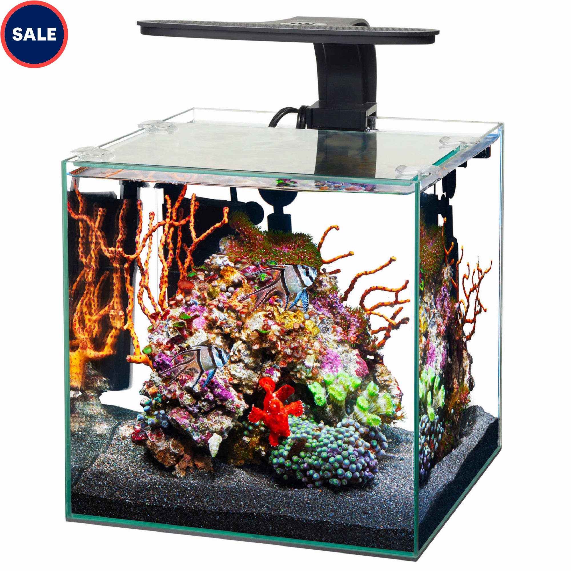 Frameless fish tank sales