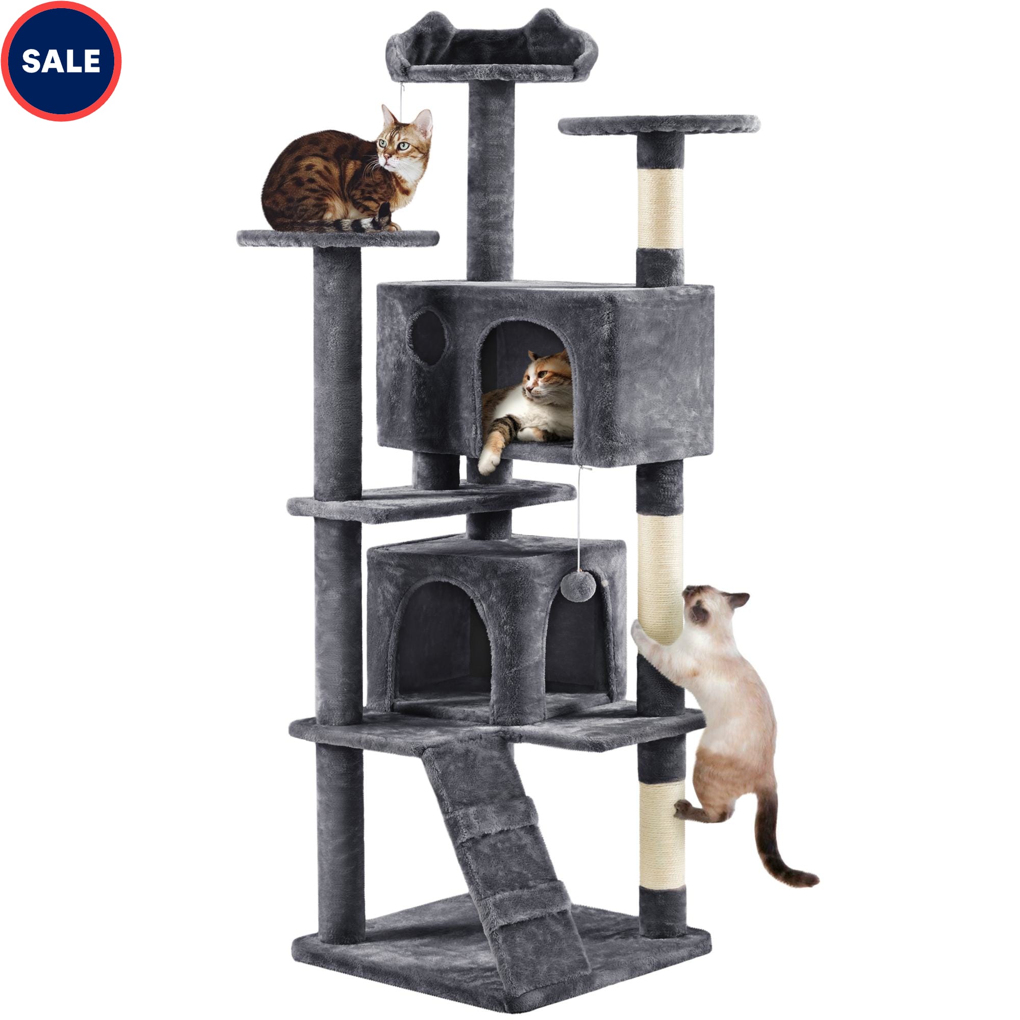 Cat condo clearance 2025