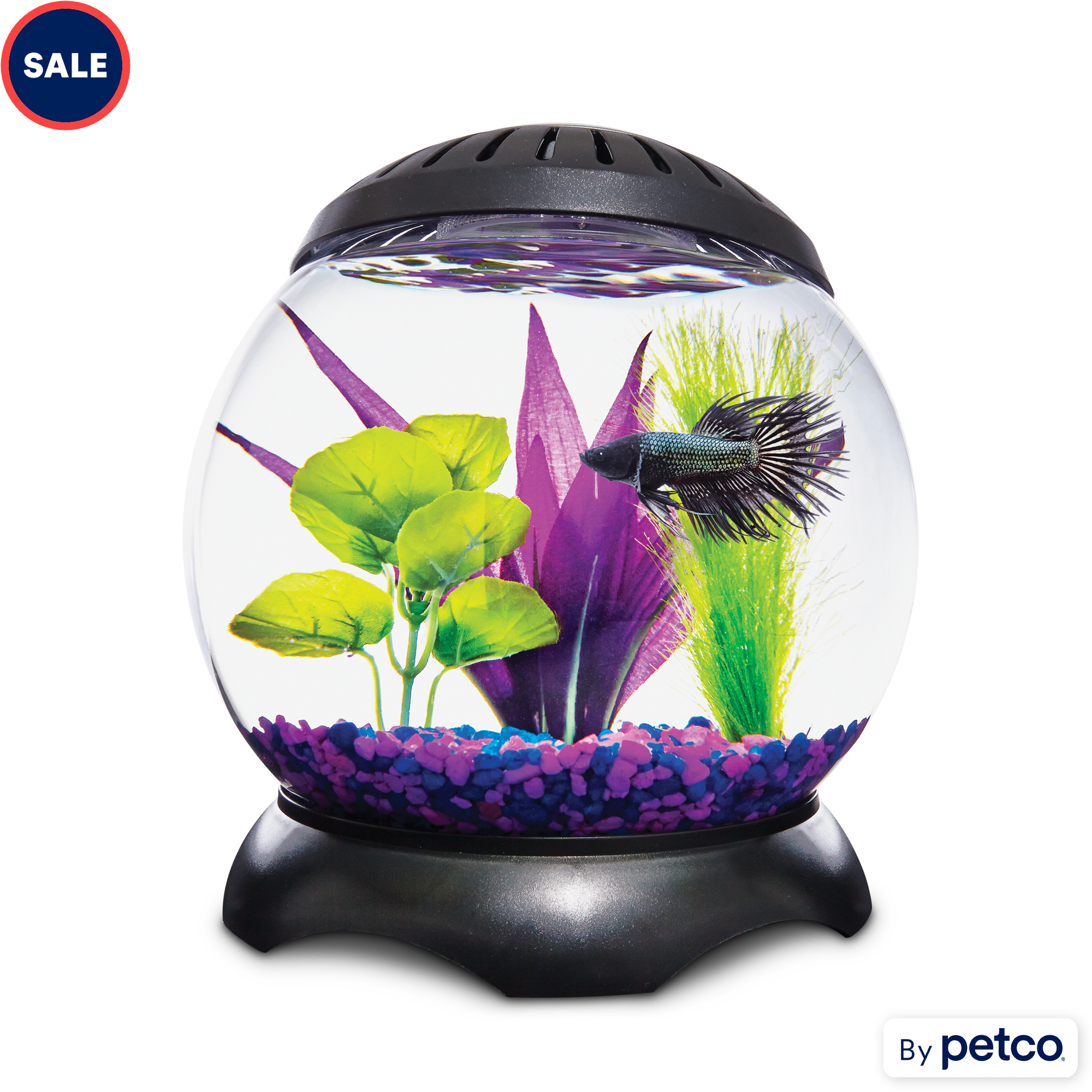 Petco small outlet aquarium