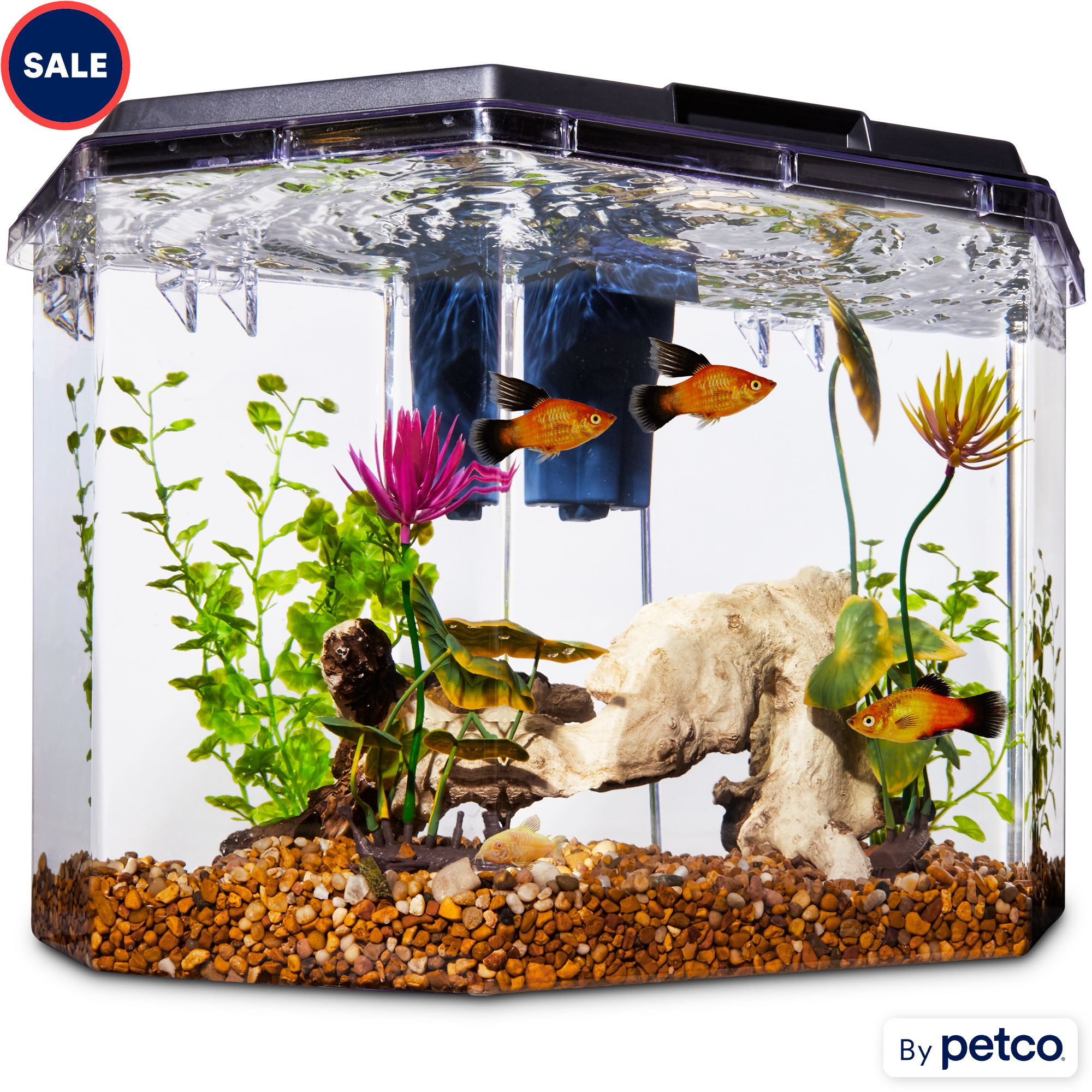 Imagitarium Semi-Hexagonal Aquarium Kit, 6.7 GAL