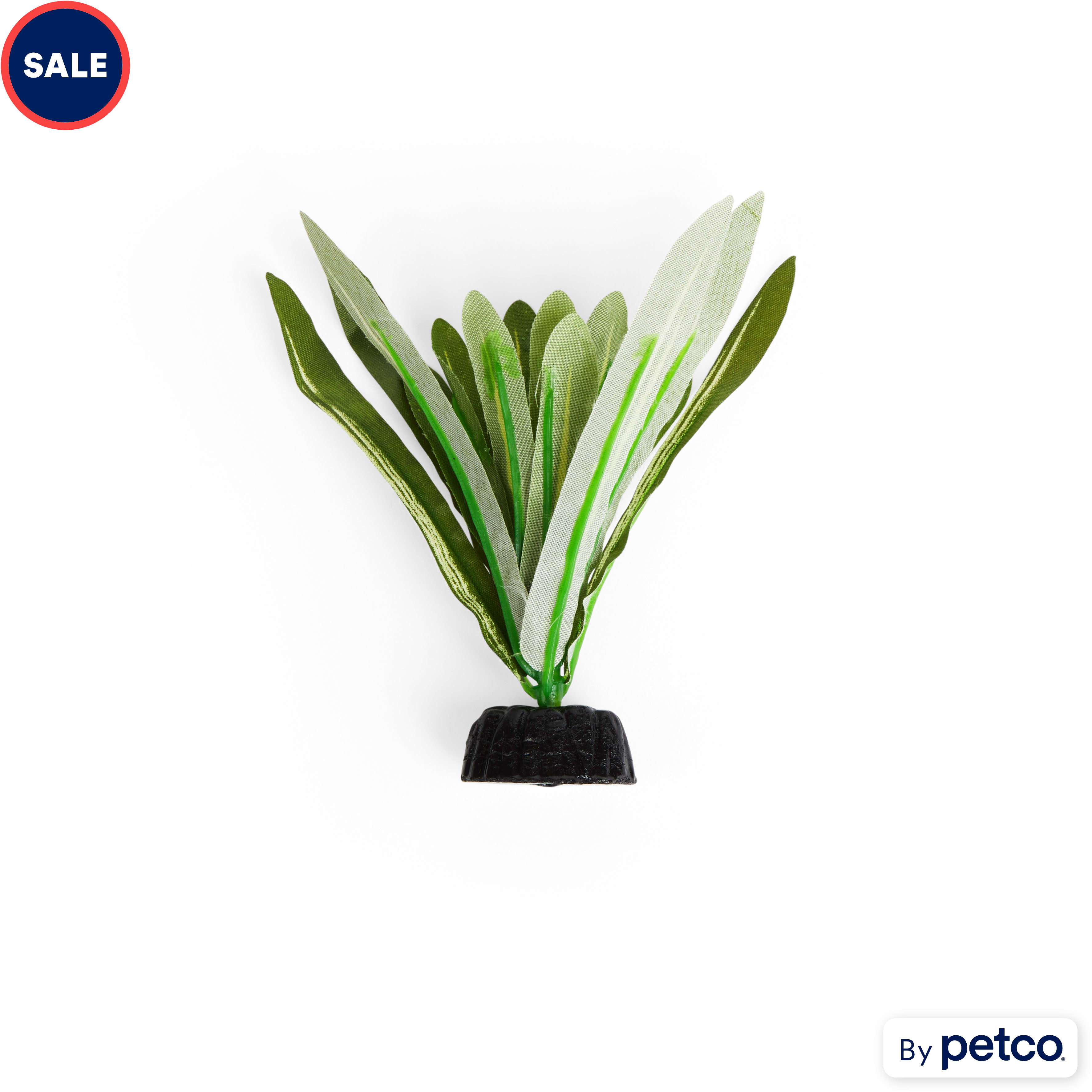 Betta hammock petco sales
