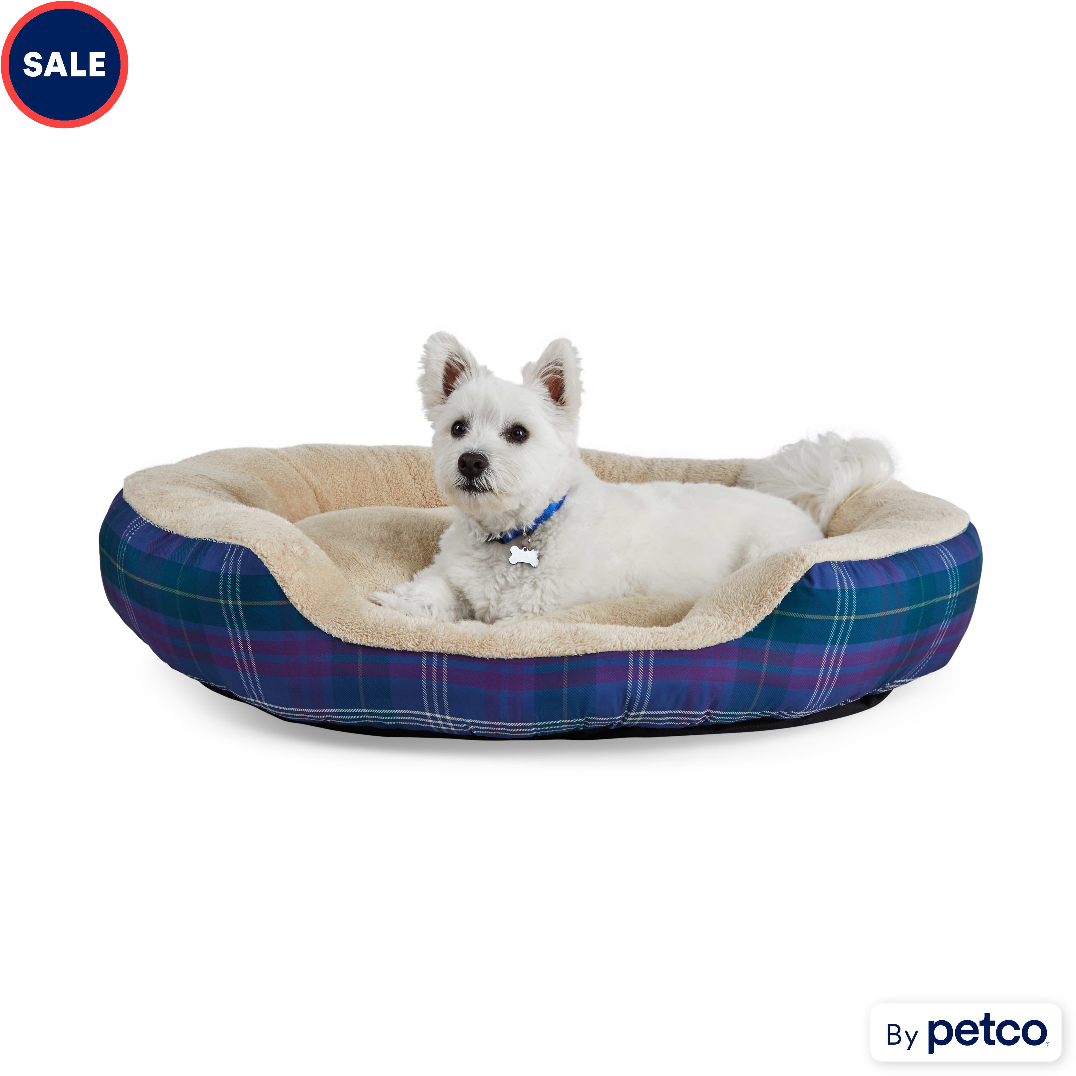 Dog bed next day delivery online