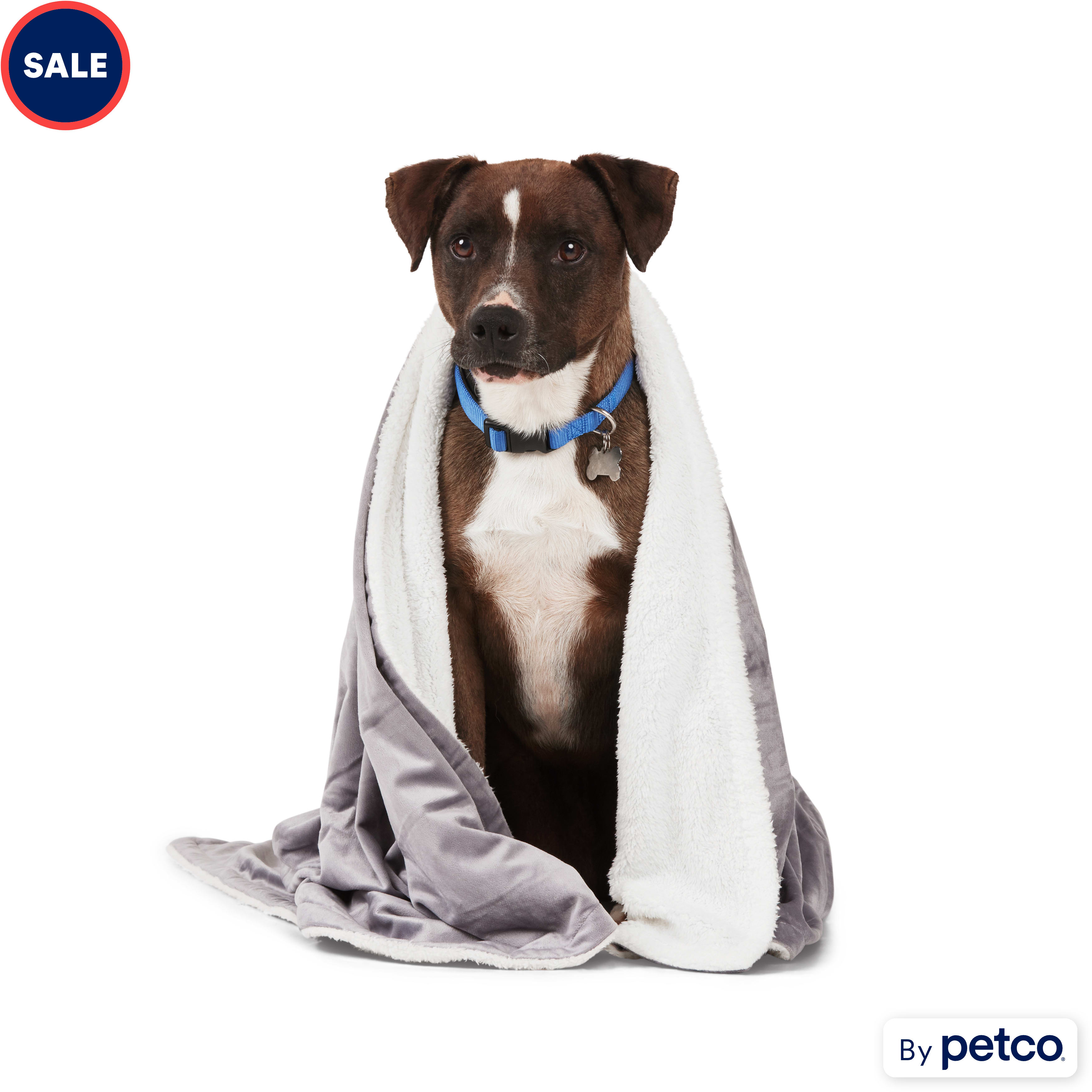 Petco sales dog blankets