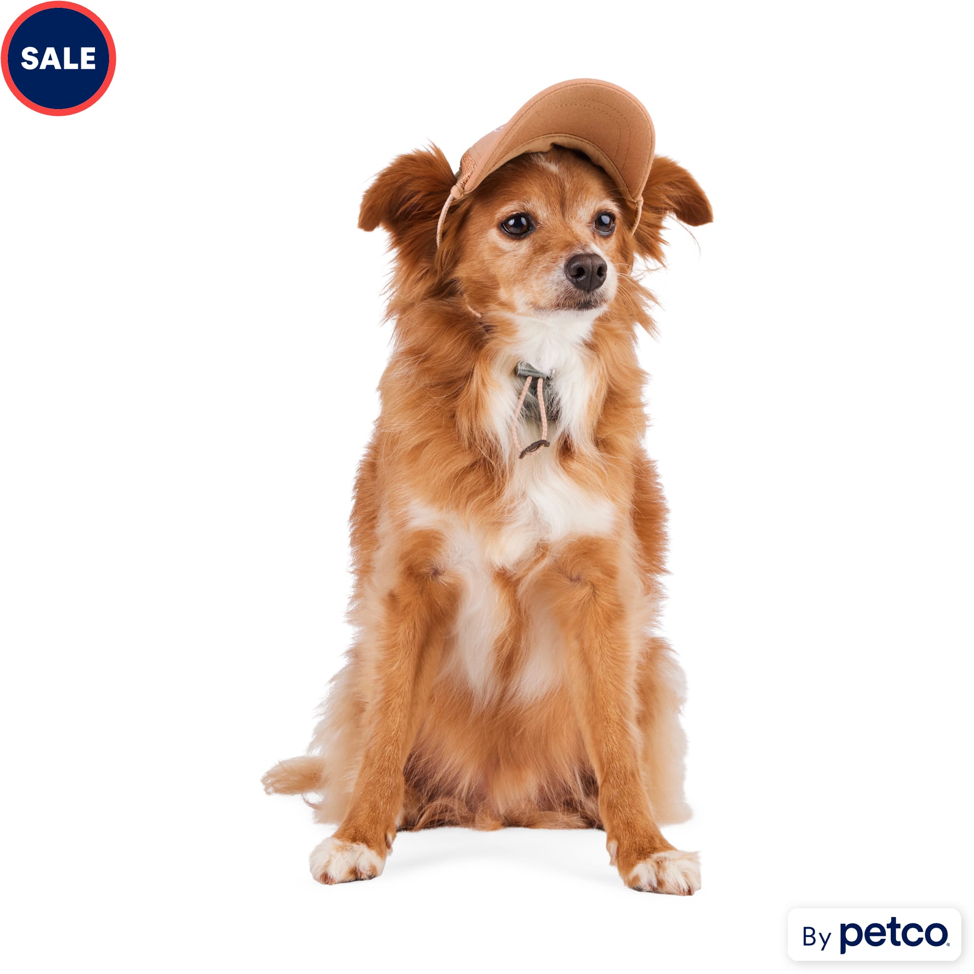 Dog hats petco deals
