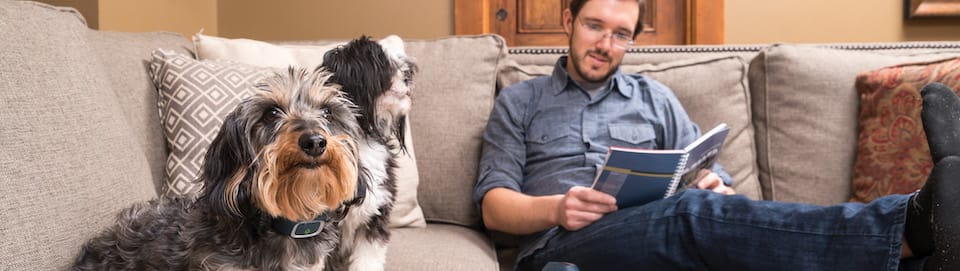 man sitting on dogs couch