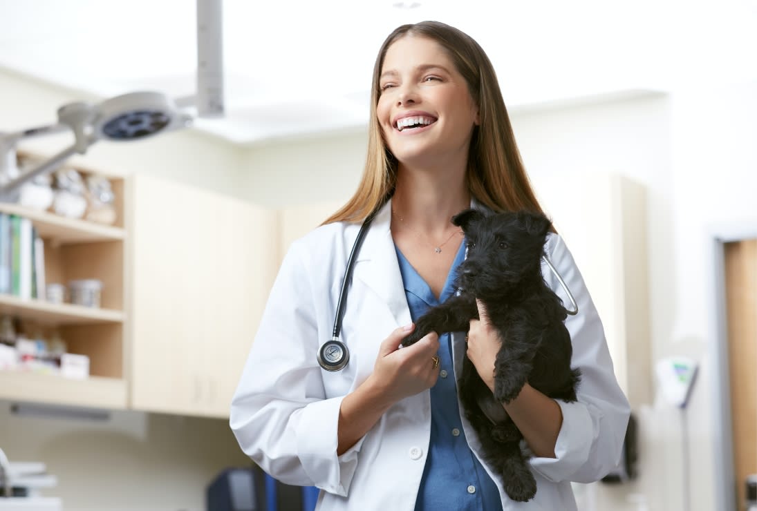 vet holding black dog