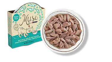 Muse dry hot sale cat food