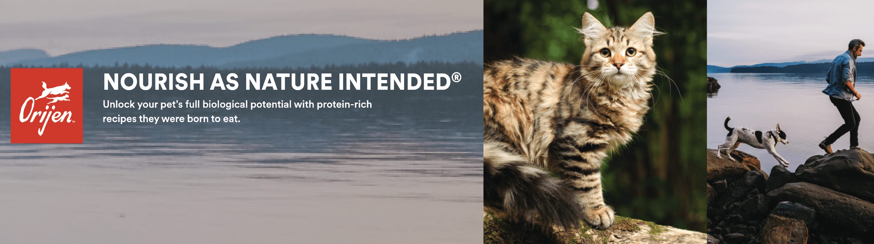 Orijen Pet Food Petco