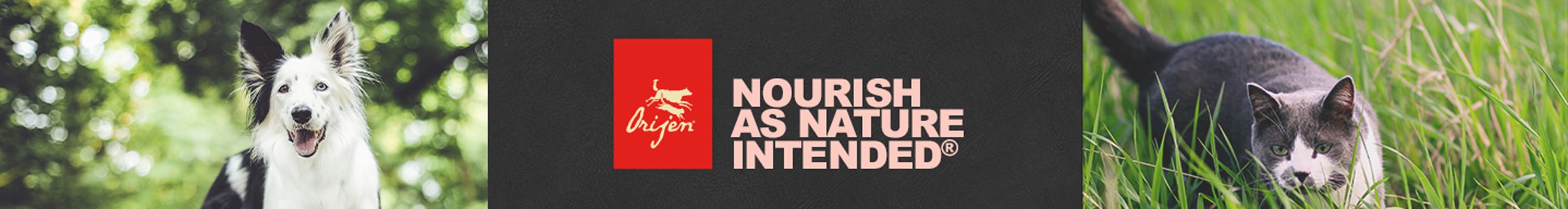 petco orijen dog food